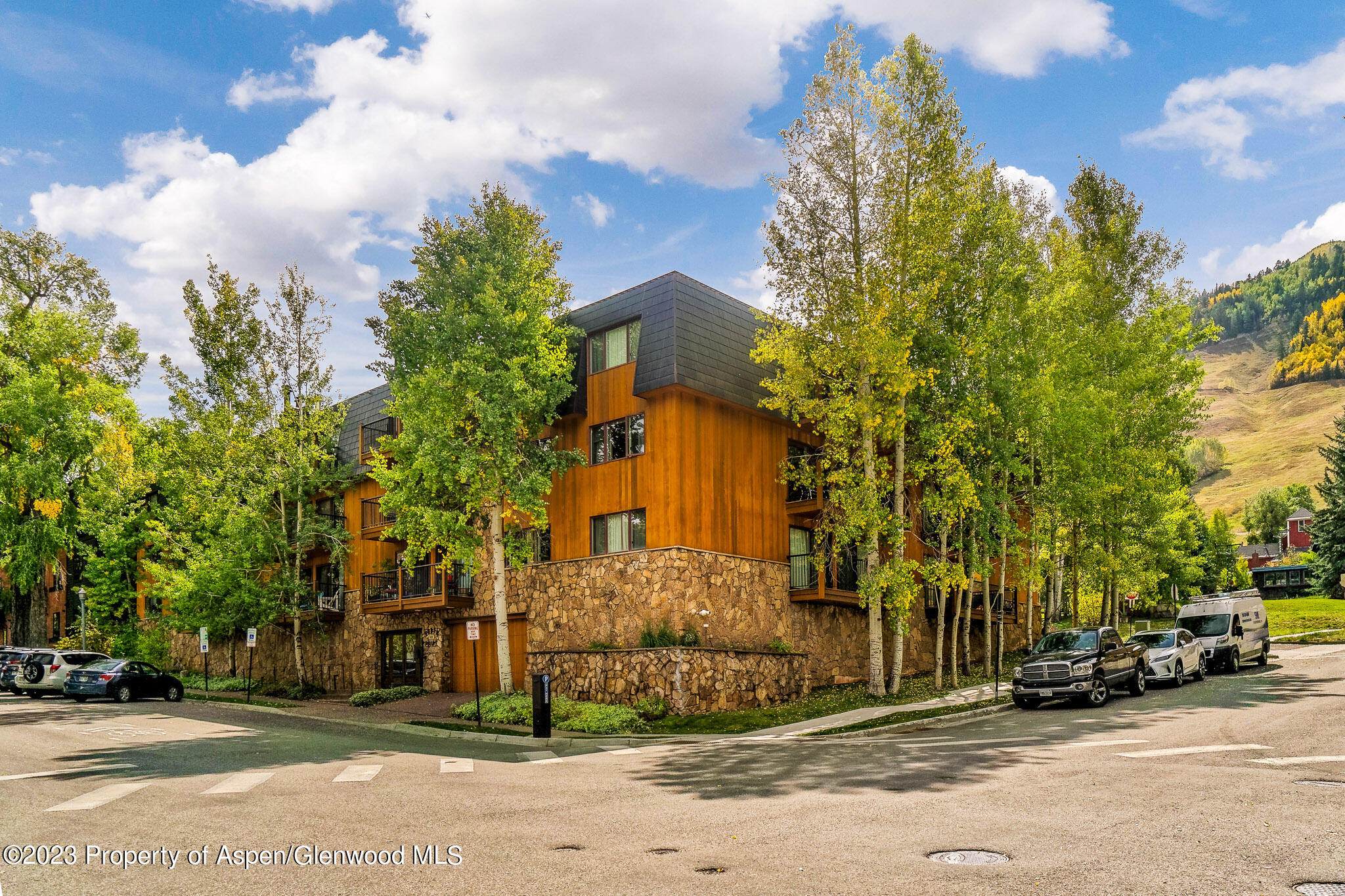 205 E Durant Avenue Aspen CO 81611