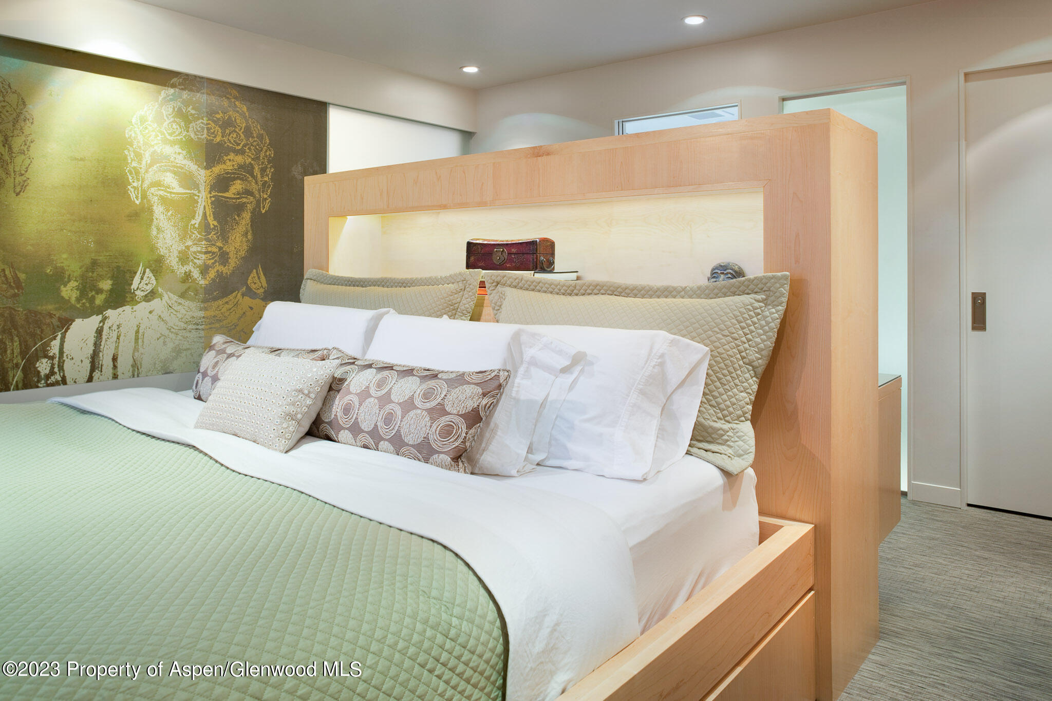 205 E Durant Avenue Aspen CO 81611