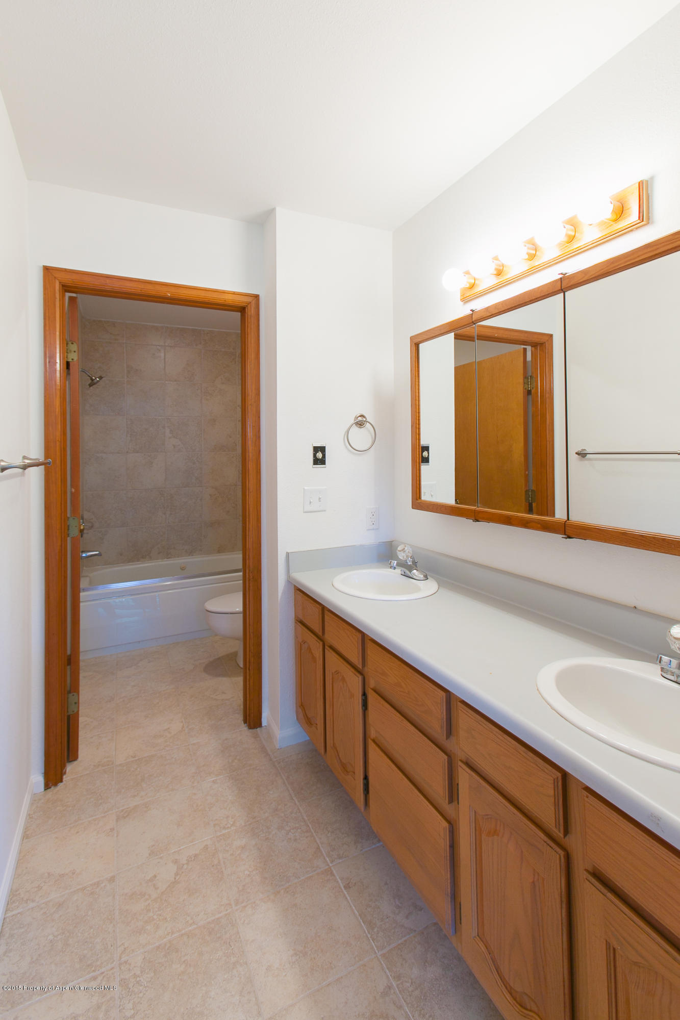 20 Silverado Drive Basalt CO 81621