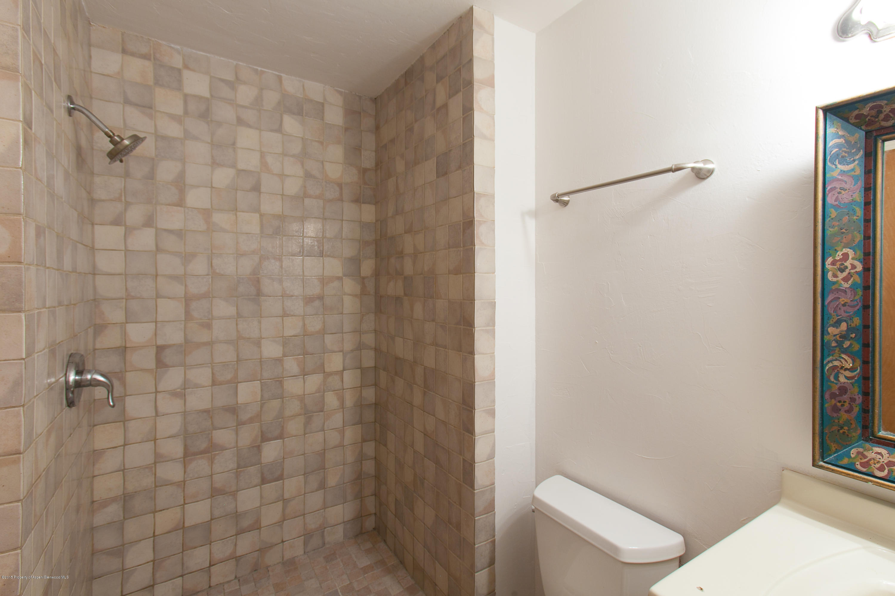 20 Silverado Drive Basalt CO 81621