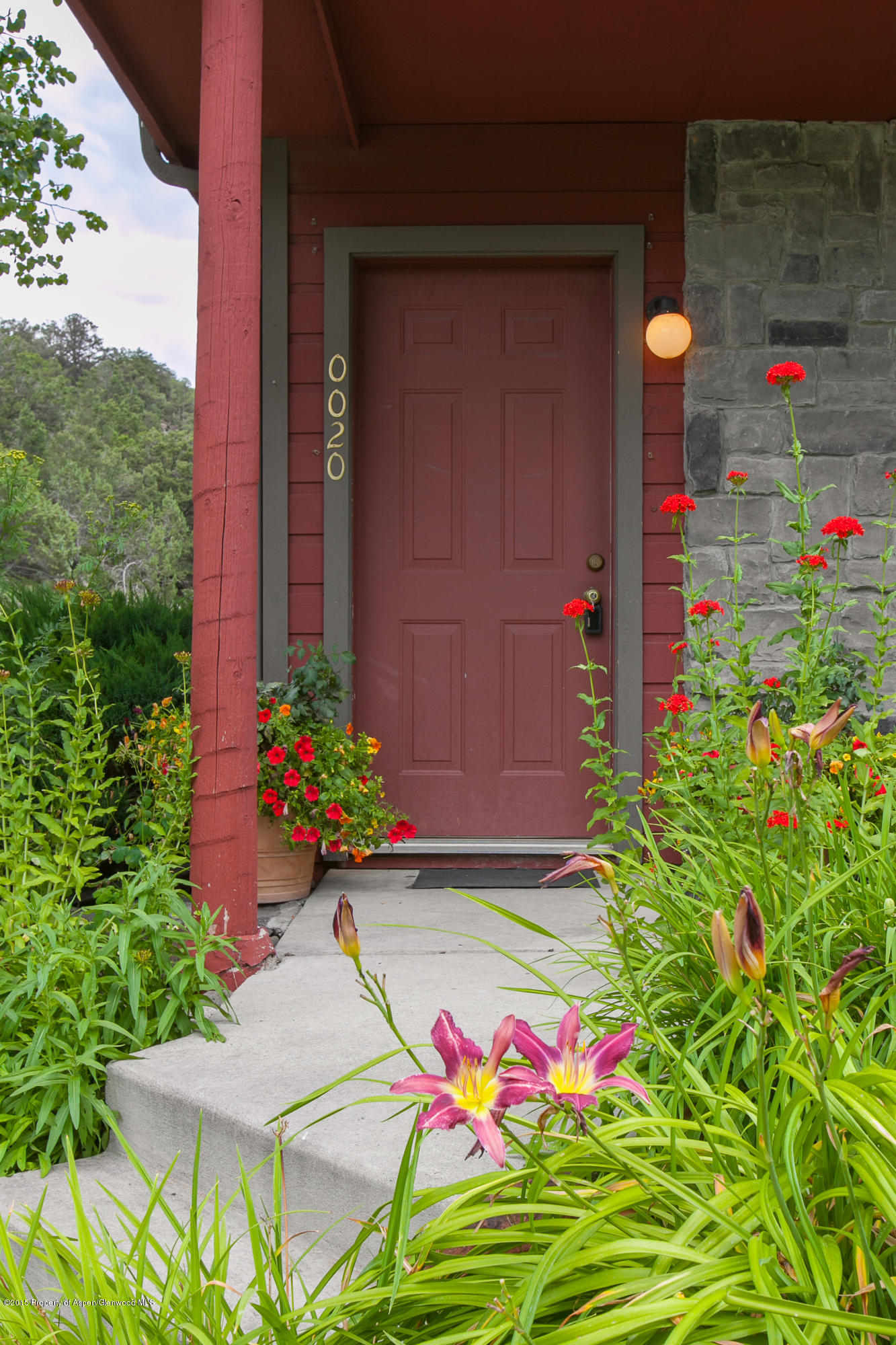 20 Silverado Drive Basalt CO 81621
