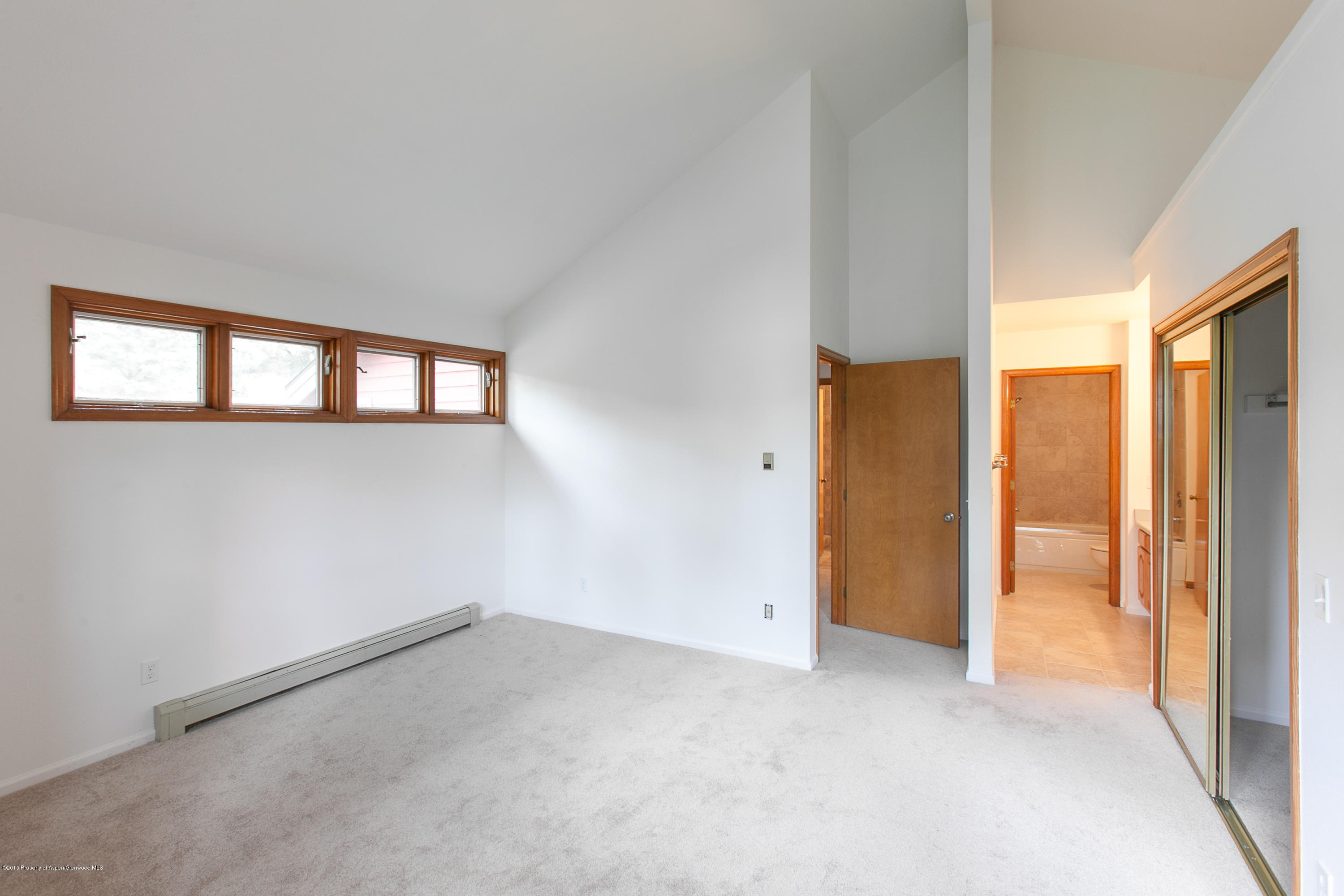 20 Silverado Drive Basalt CO 81621