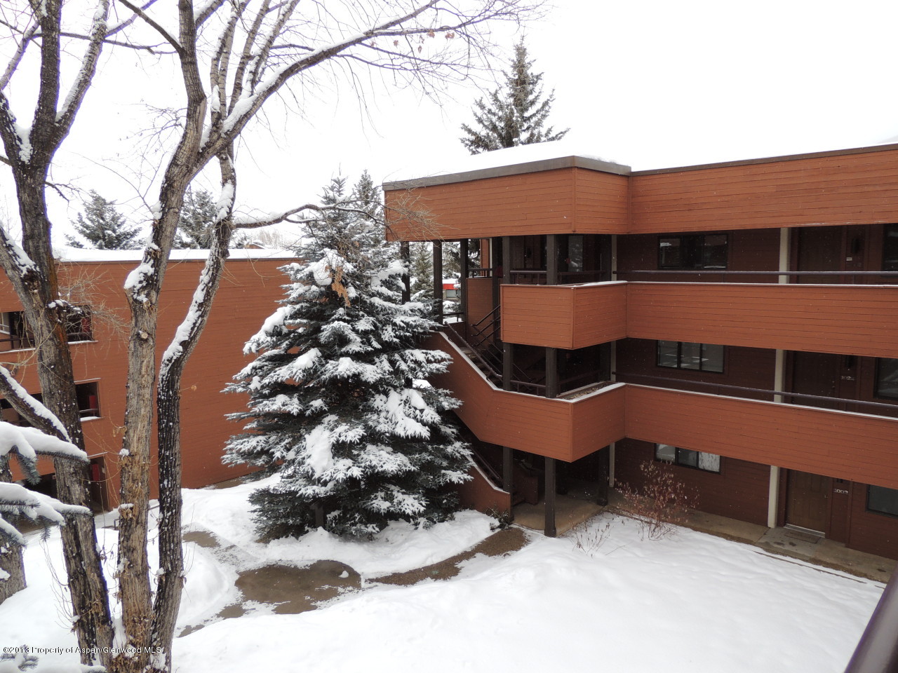 1041 Vine Street Aspen CO 81611