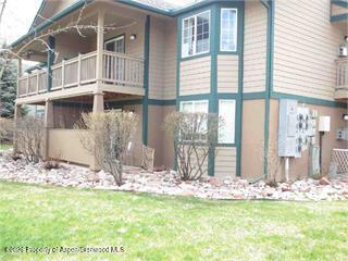 3203 Elk Lane Basalt CO 81621