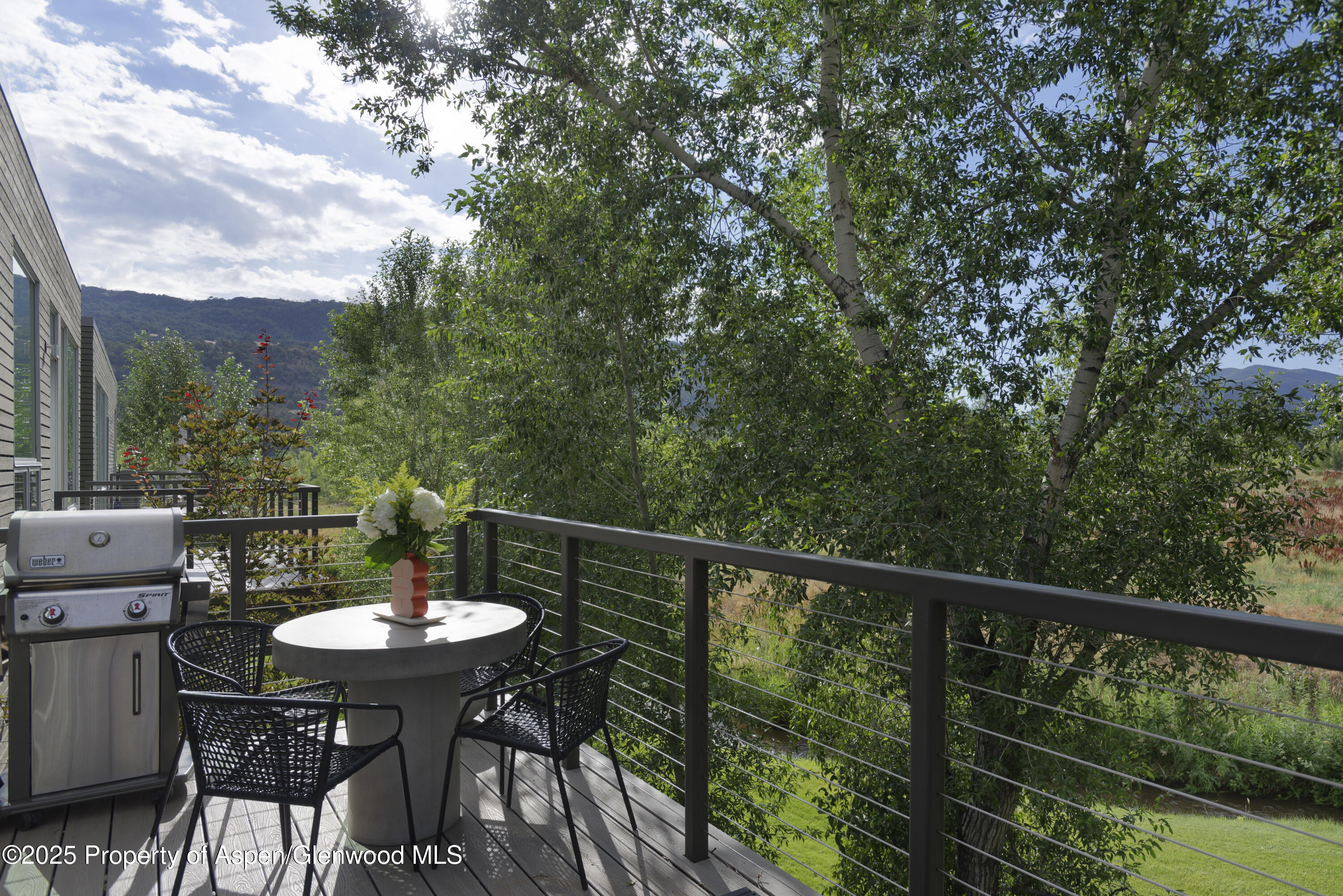 104 Evans Road Basalt CO 81621