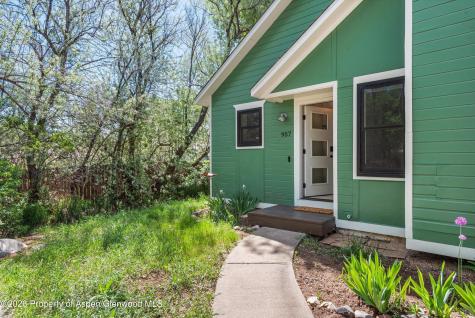 957 Buckingham Drive Carbondale CO 81623