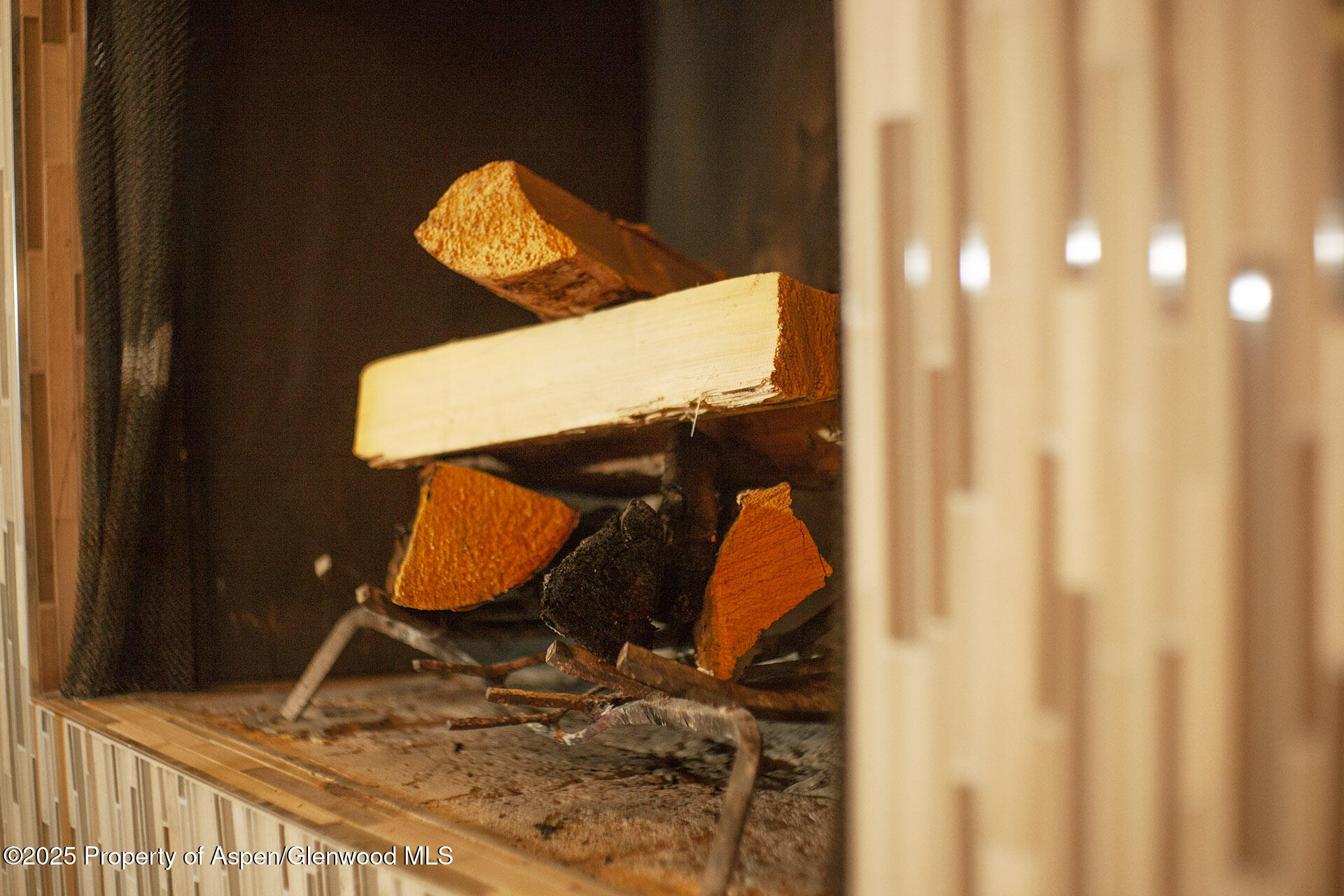 1039 E Cooper Avenue Aspen CO 81611