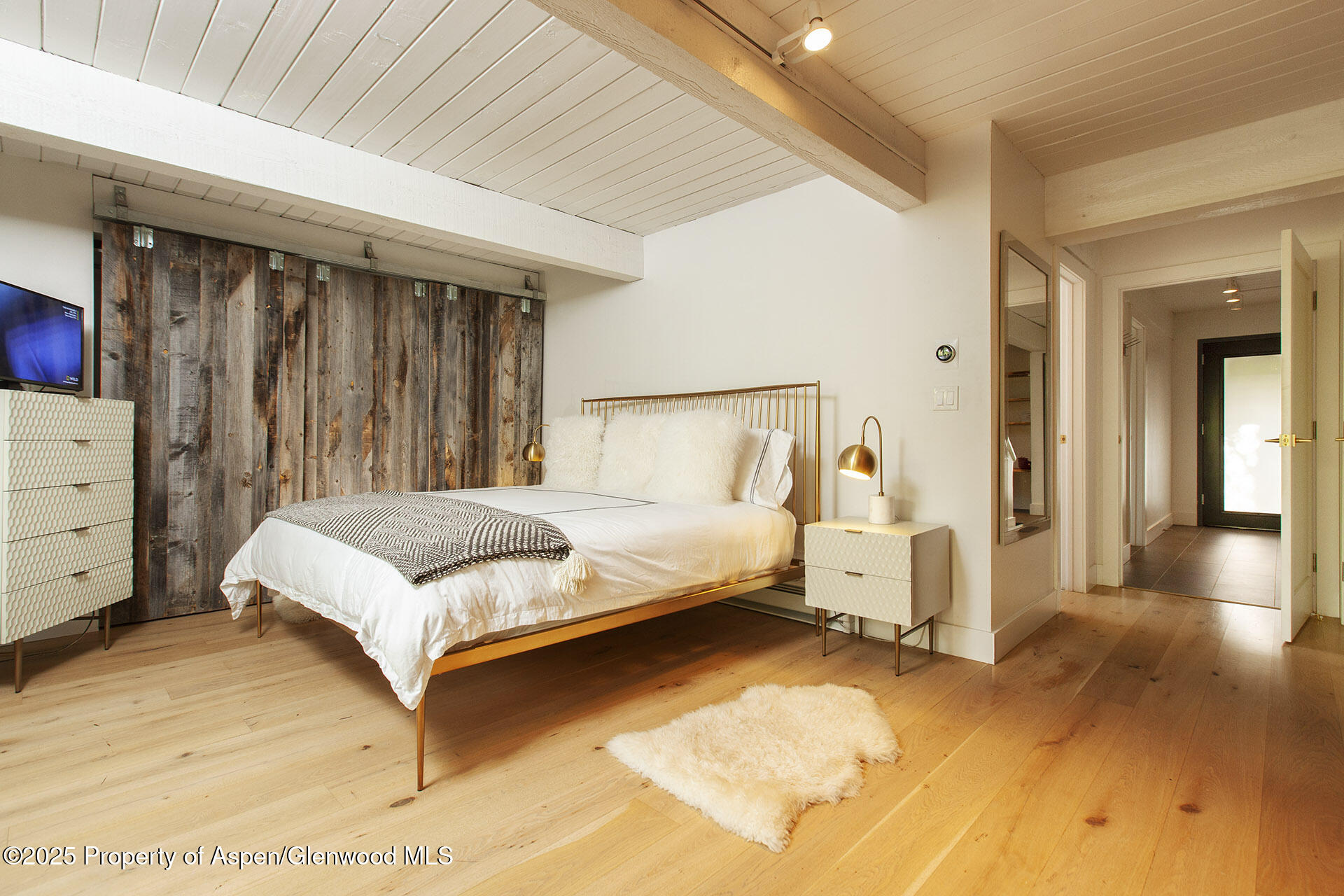 1039 E Cooper Avenue Aspen CO 81611