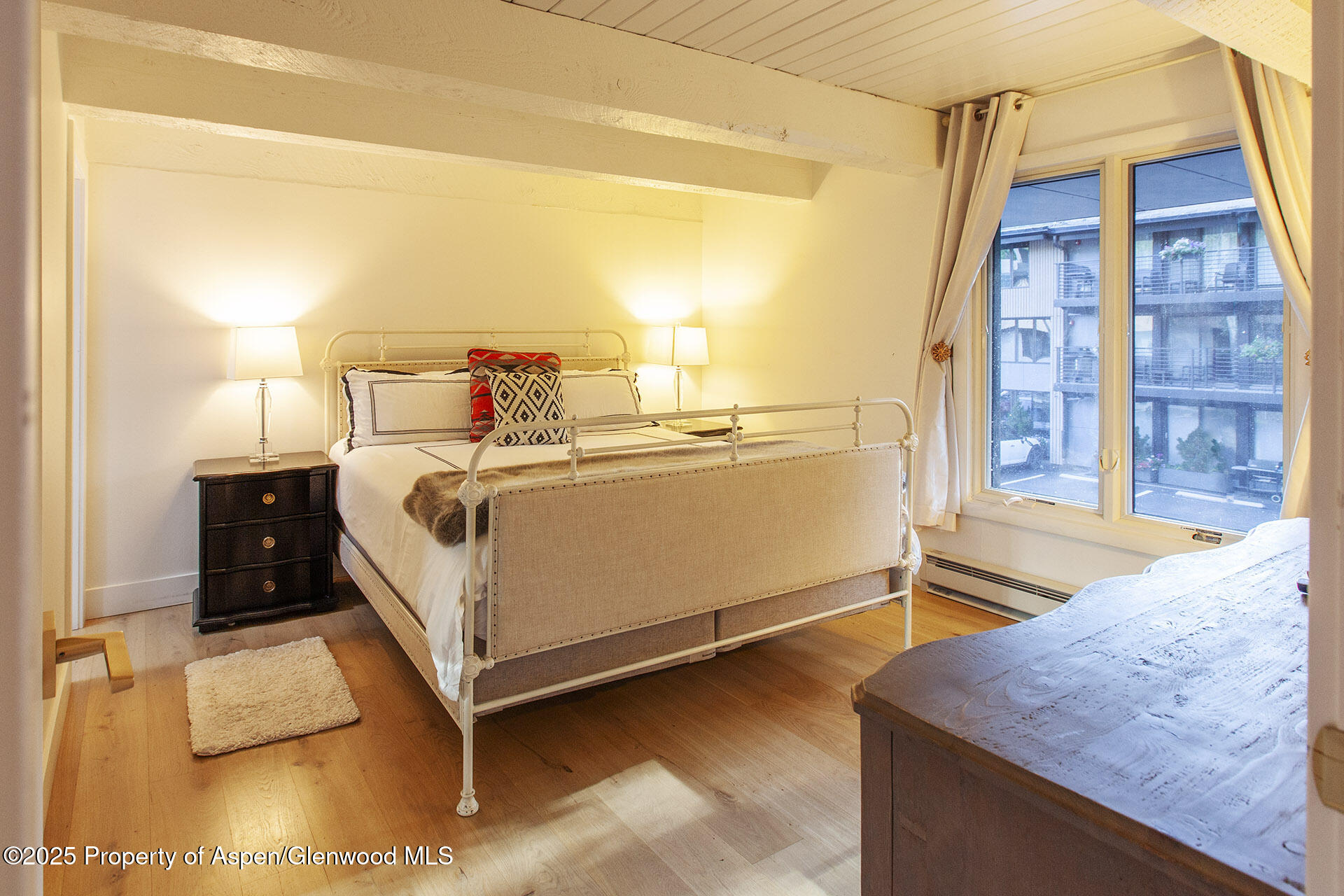 1039 E Cooper Avenue Aspen CO 81611