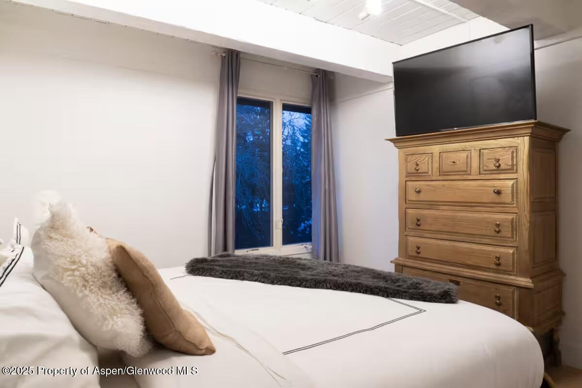 1039 E Cooper Avenue Aspen CO 81611