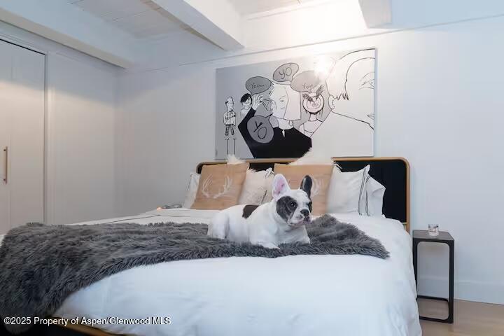 1039 E Cooper Avenue Aspen CO 81611