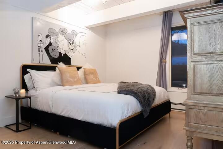 1039 E Cooper Avenue Aspen CO 81611