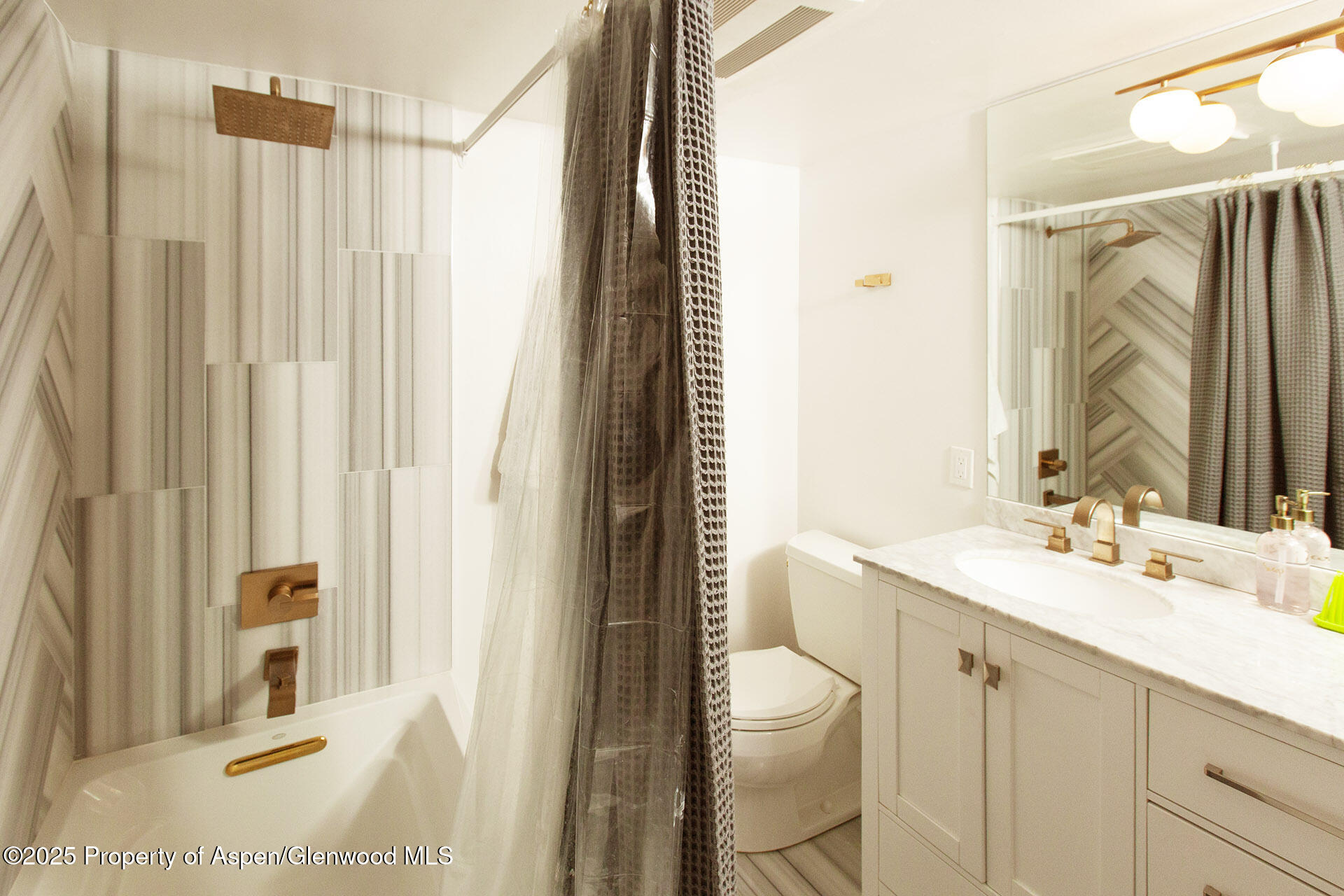 1039 E Cooper Avenue Aspen CO 81611