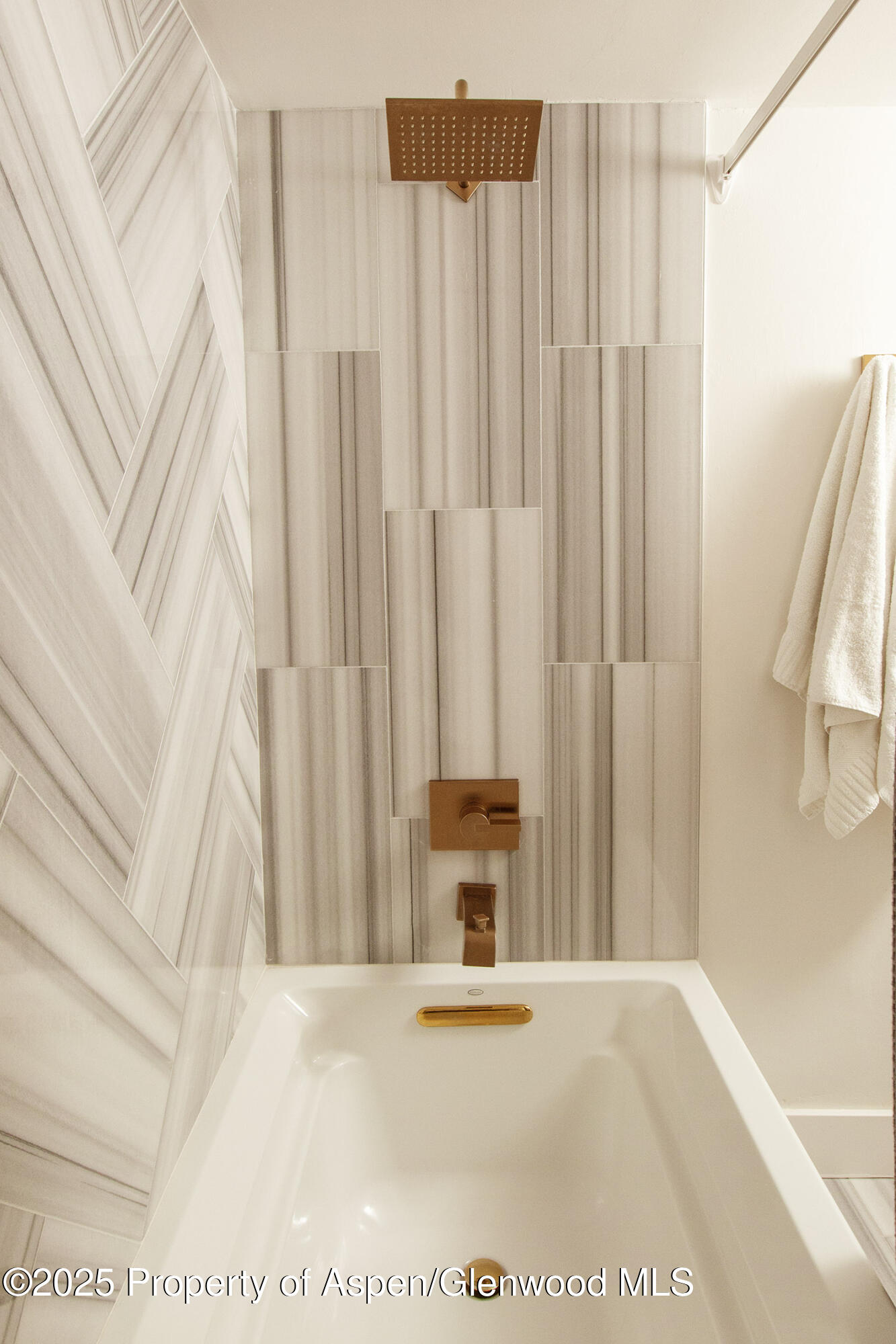 1039 E Cooper Avenue Aspen CO 81611