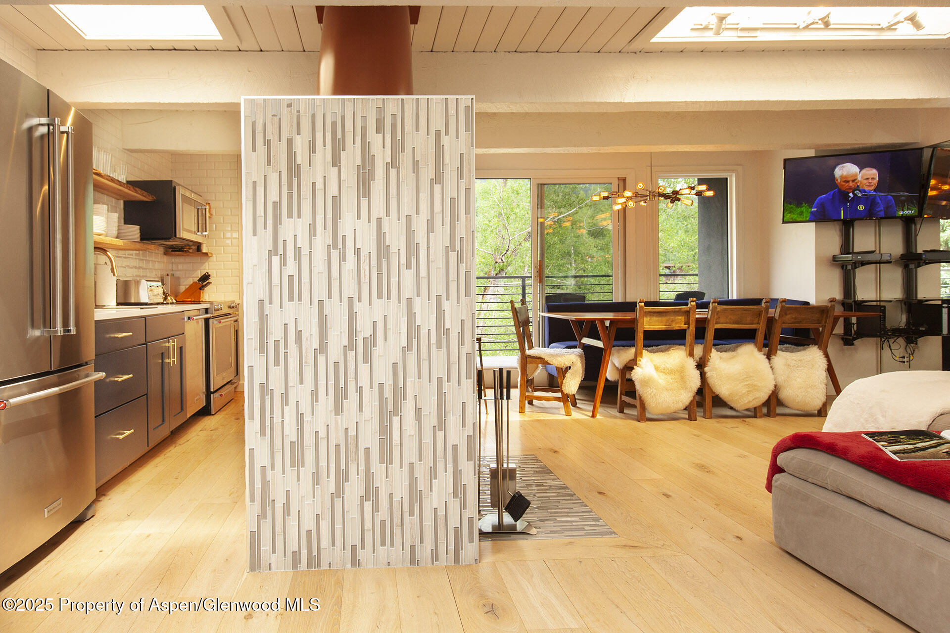 1039 E Cooper Avenue Aspen CO 81611