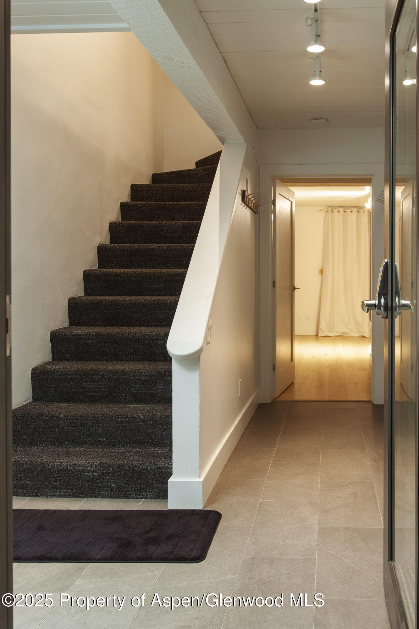 1039 E Cooper Avenue Aspen CO 81611