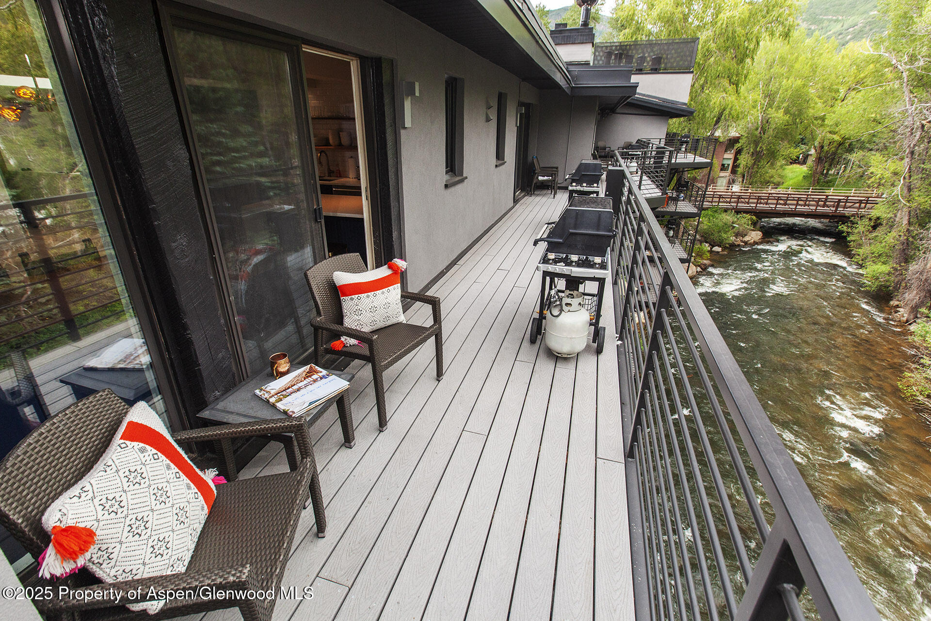 1039 E Cooper Avenue Aspen CO 81611