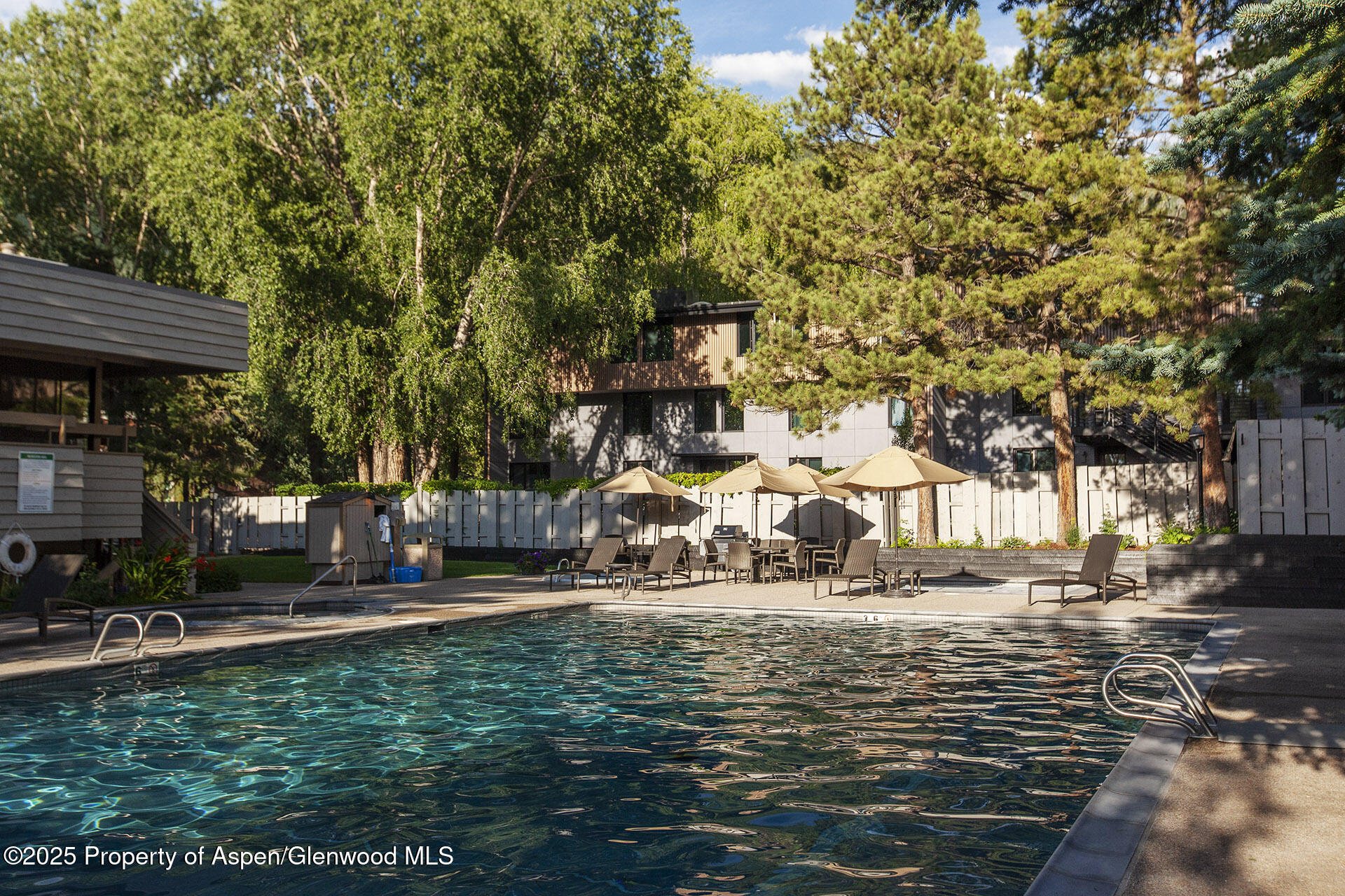 1039 E Cooper Avenue Aspen CO 81611