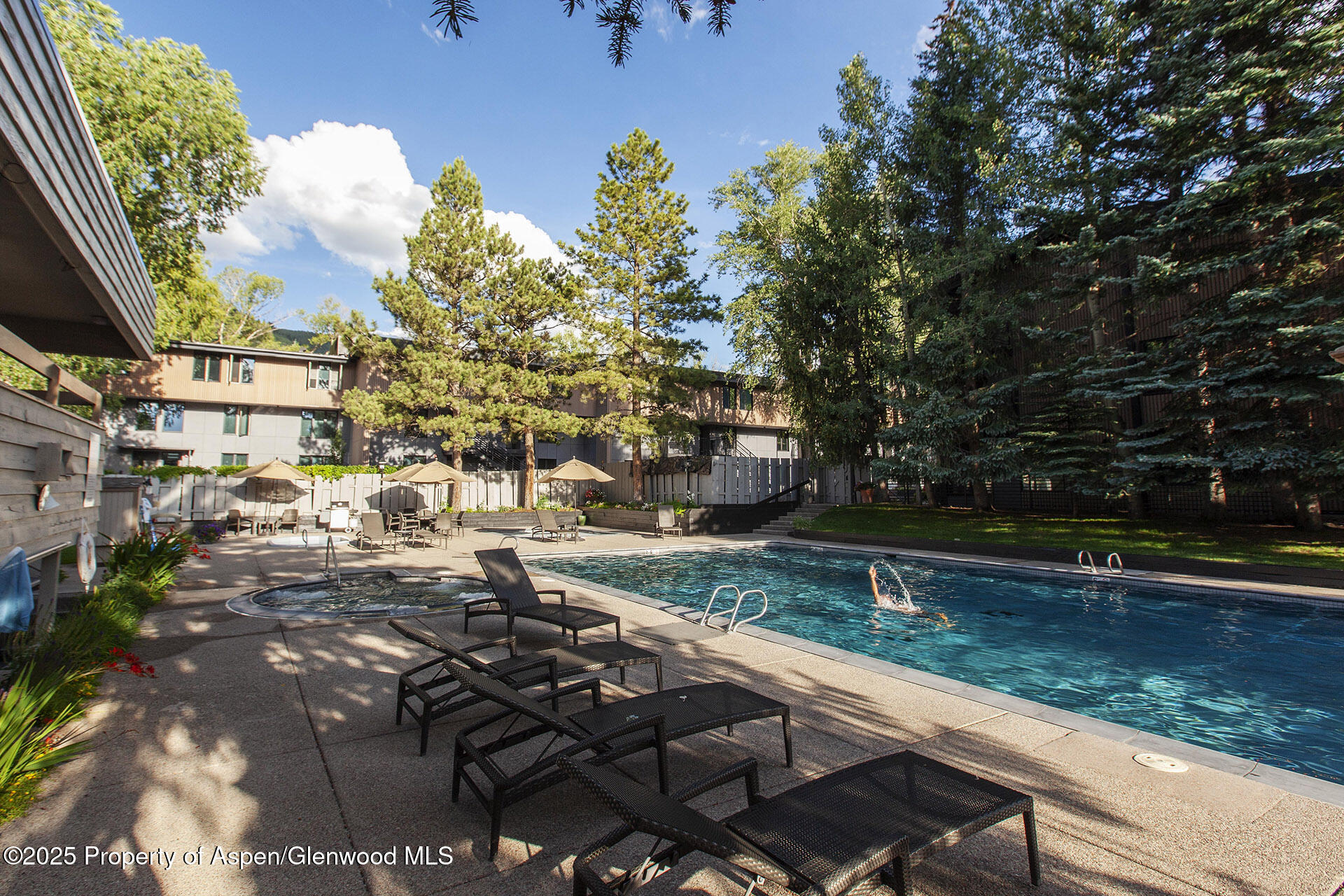 1039 E Cooper Avenue Aspen CO 81611