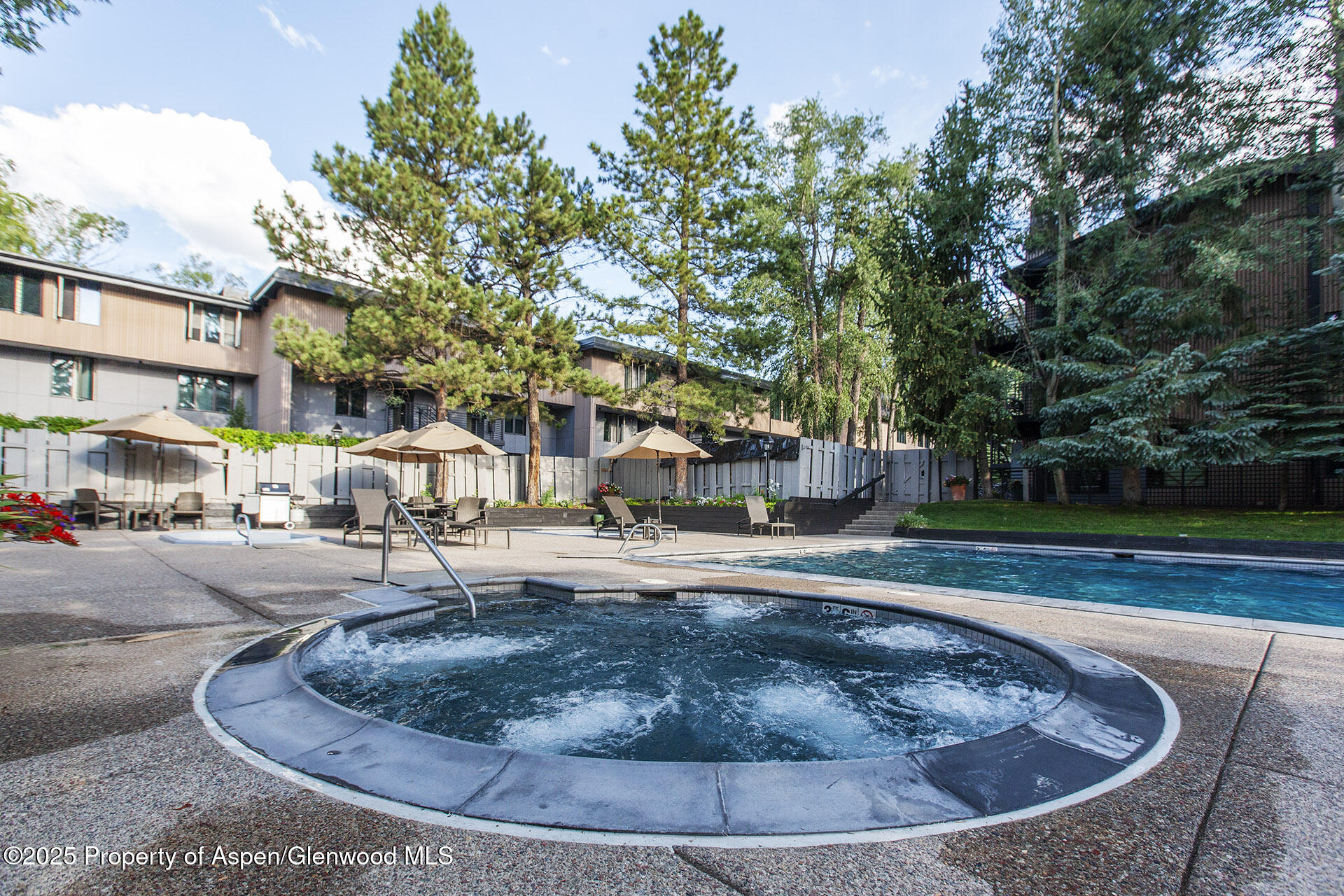 1039 E Cooper Avenue Aspen CO 81611