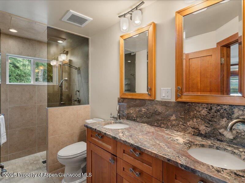 940 Waters Avenue Aspen CO 81611