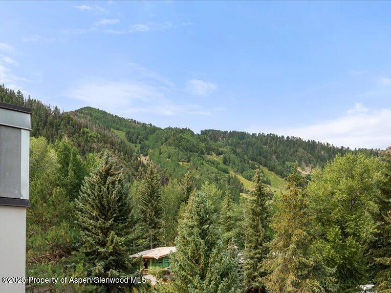 940 Waters Avenue Aspen CO 81611