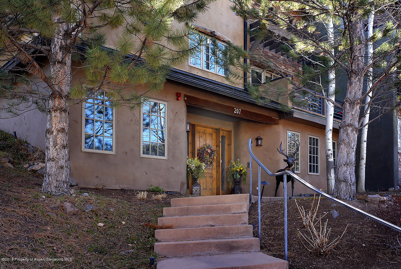 207 Wild Spring Lane Basalt CO 81621