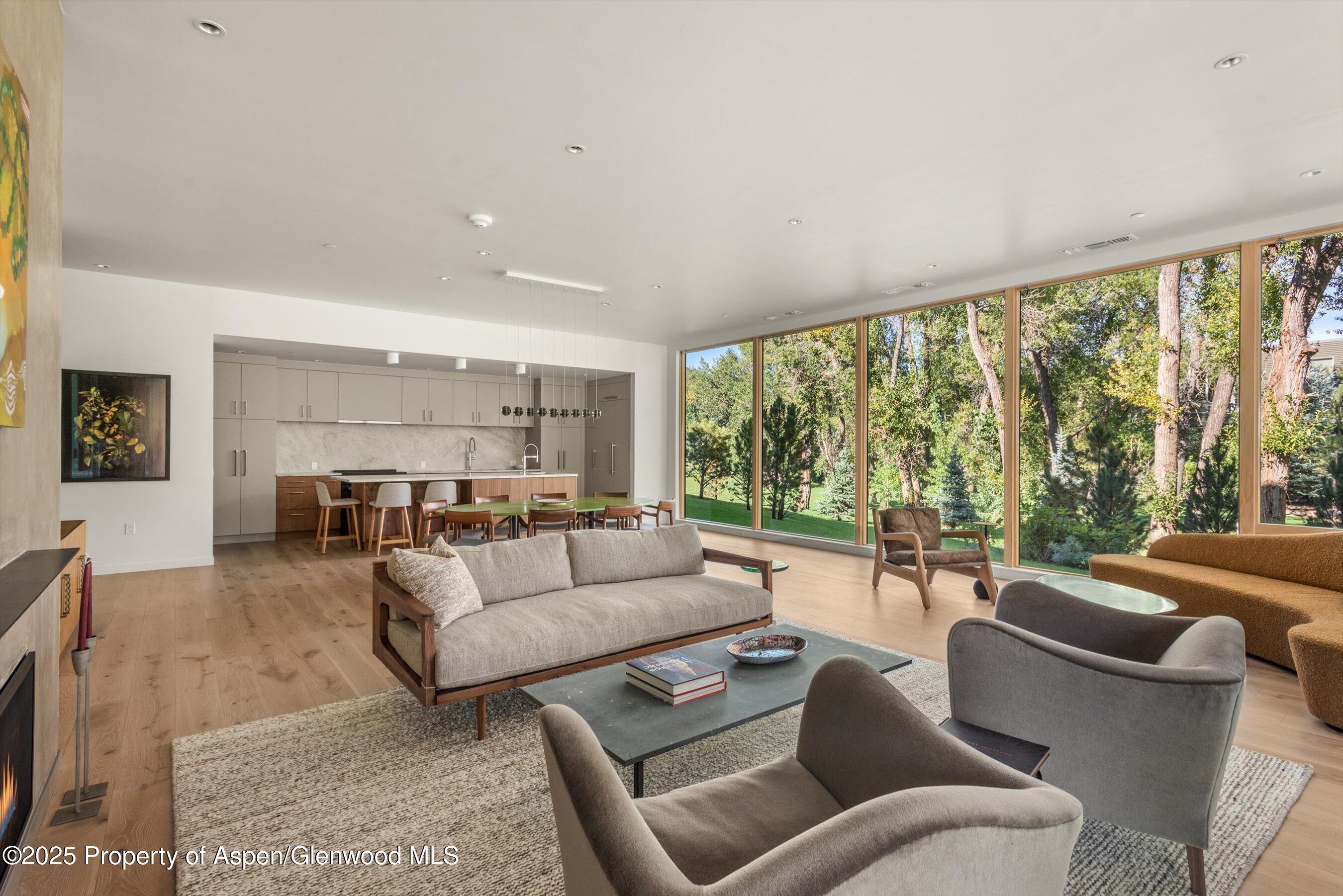 103 Willow Road Basalt CO 81621