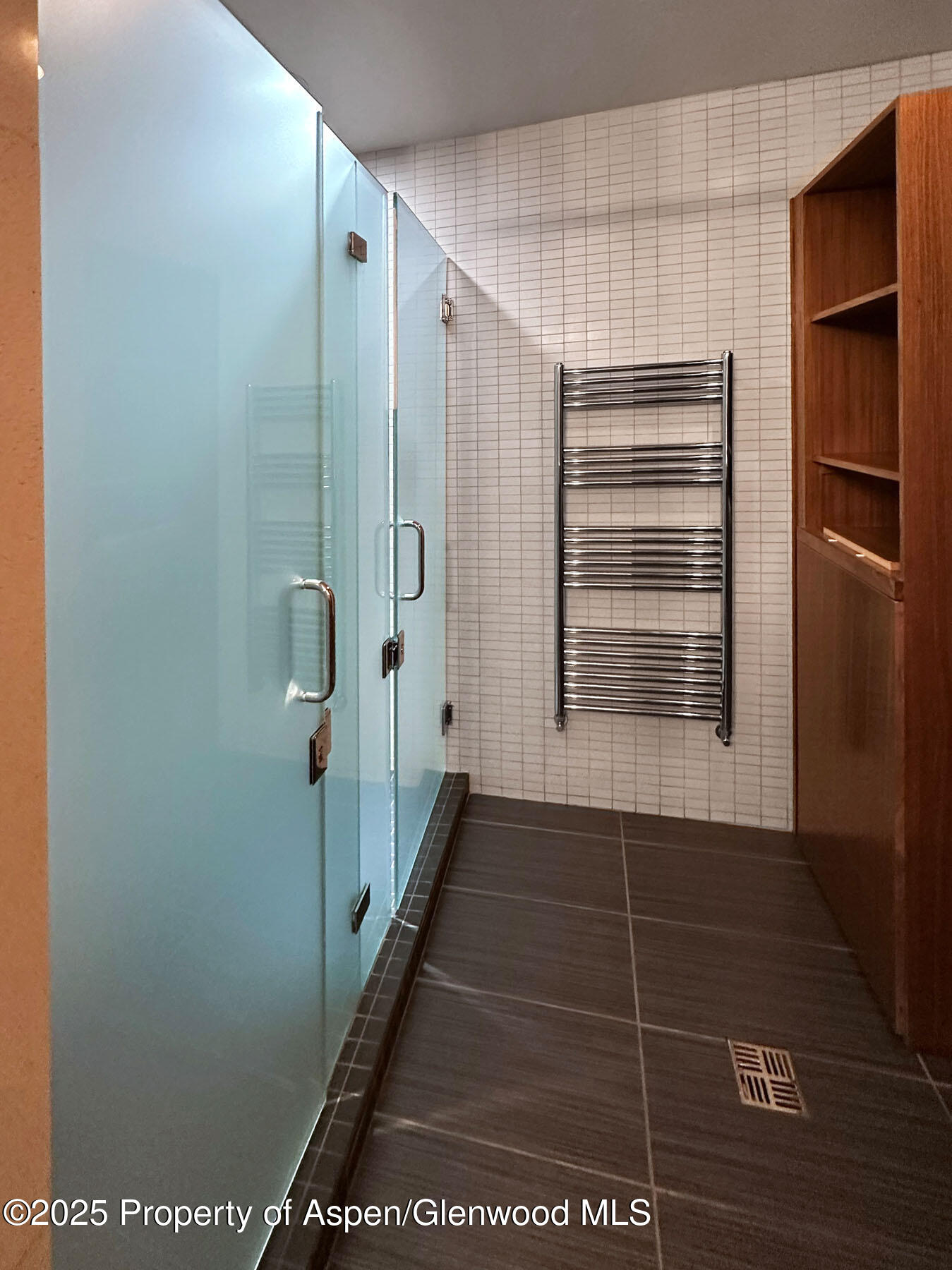 55 Upper Woodbridge Road Snowmass Village CO 81615