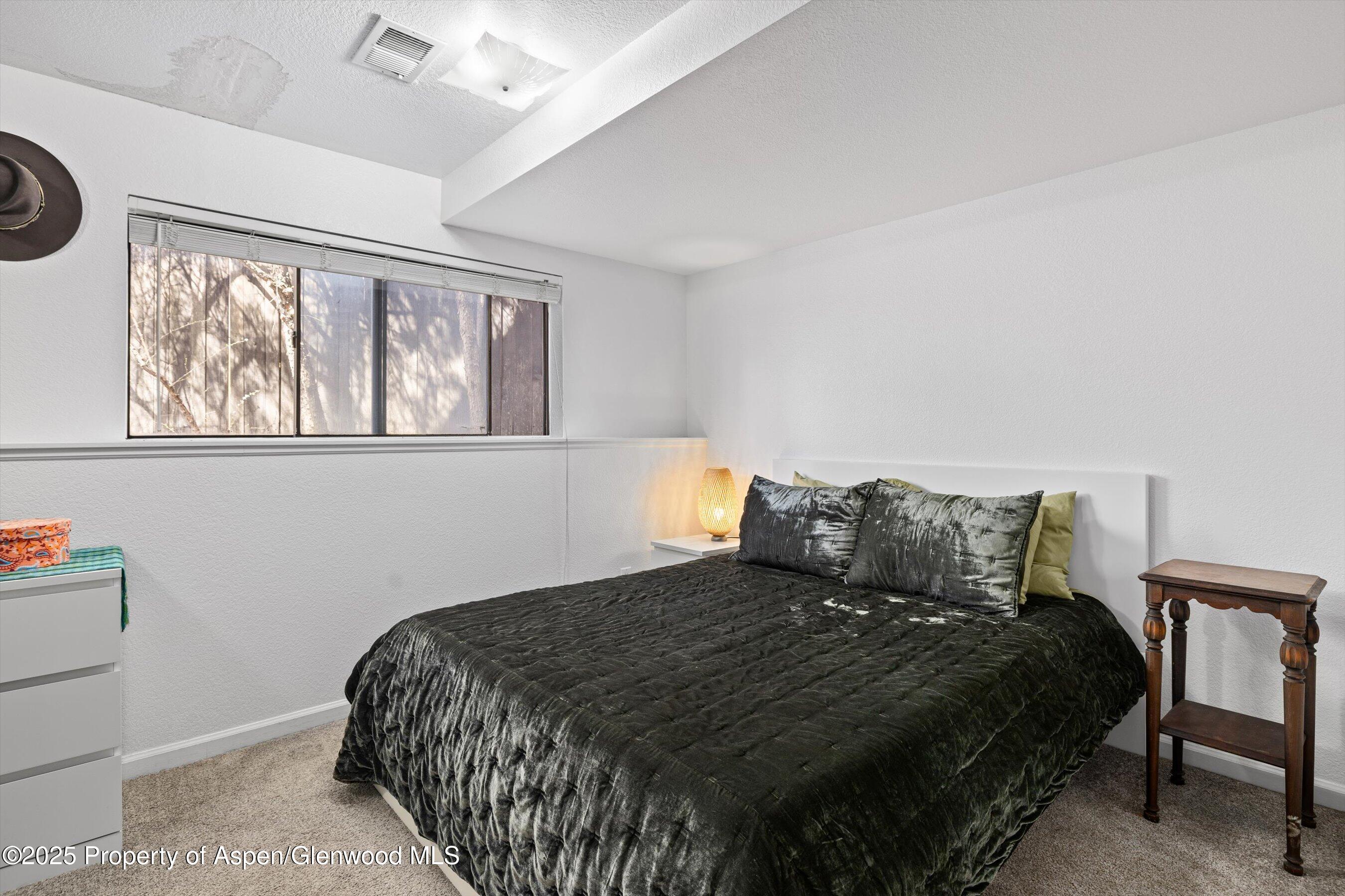 1090 Wheel Drive Carbondale CO 81623