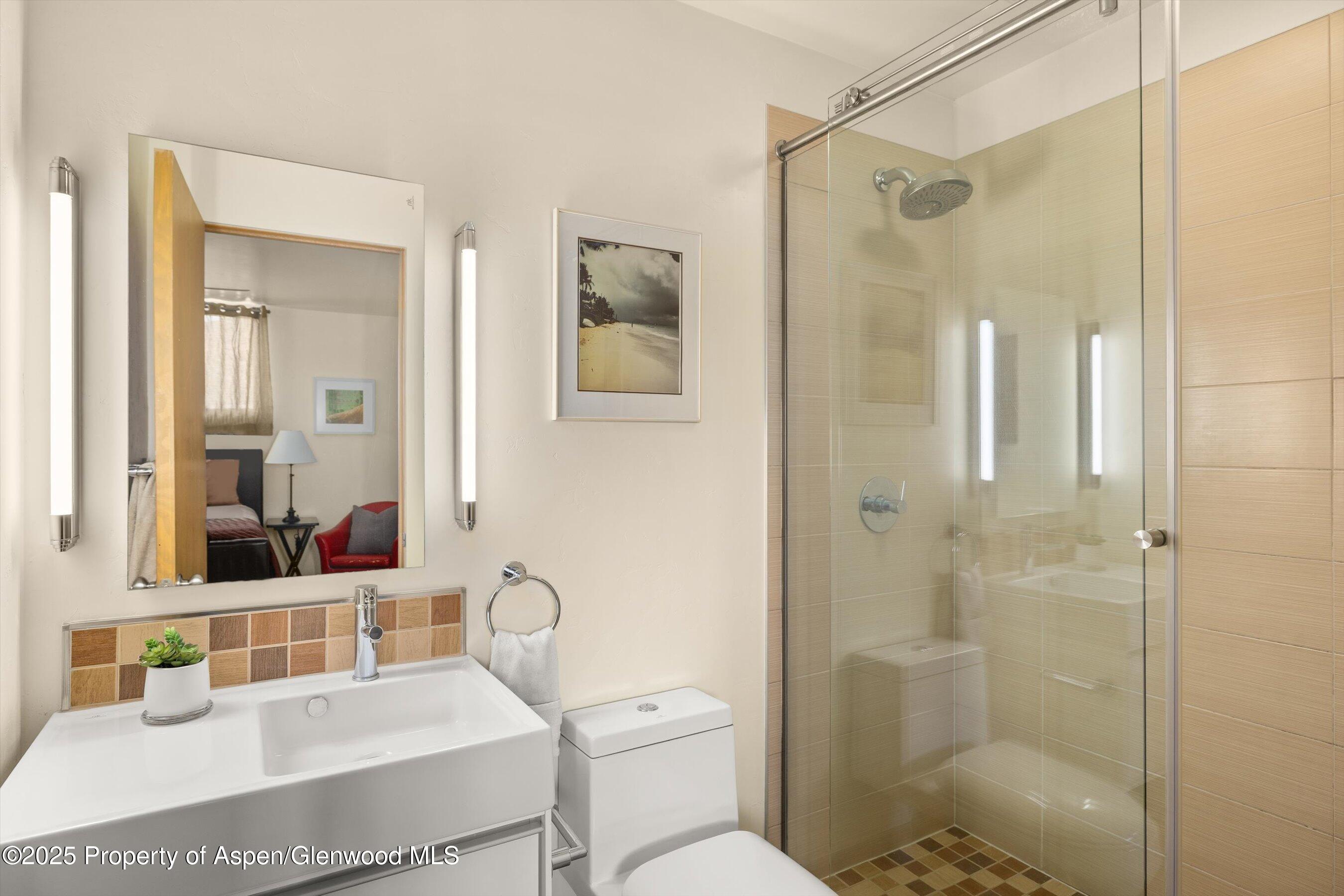 2633 Dolores Way Carbondale CO 81623