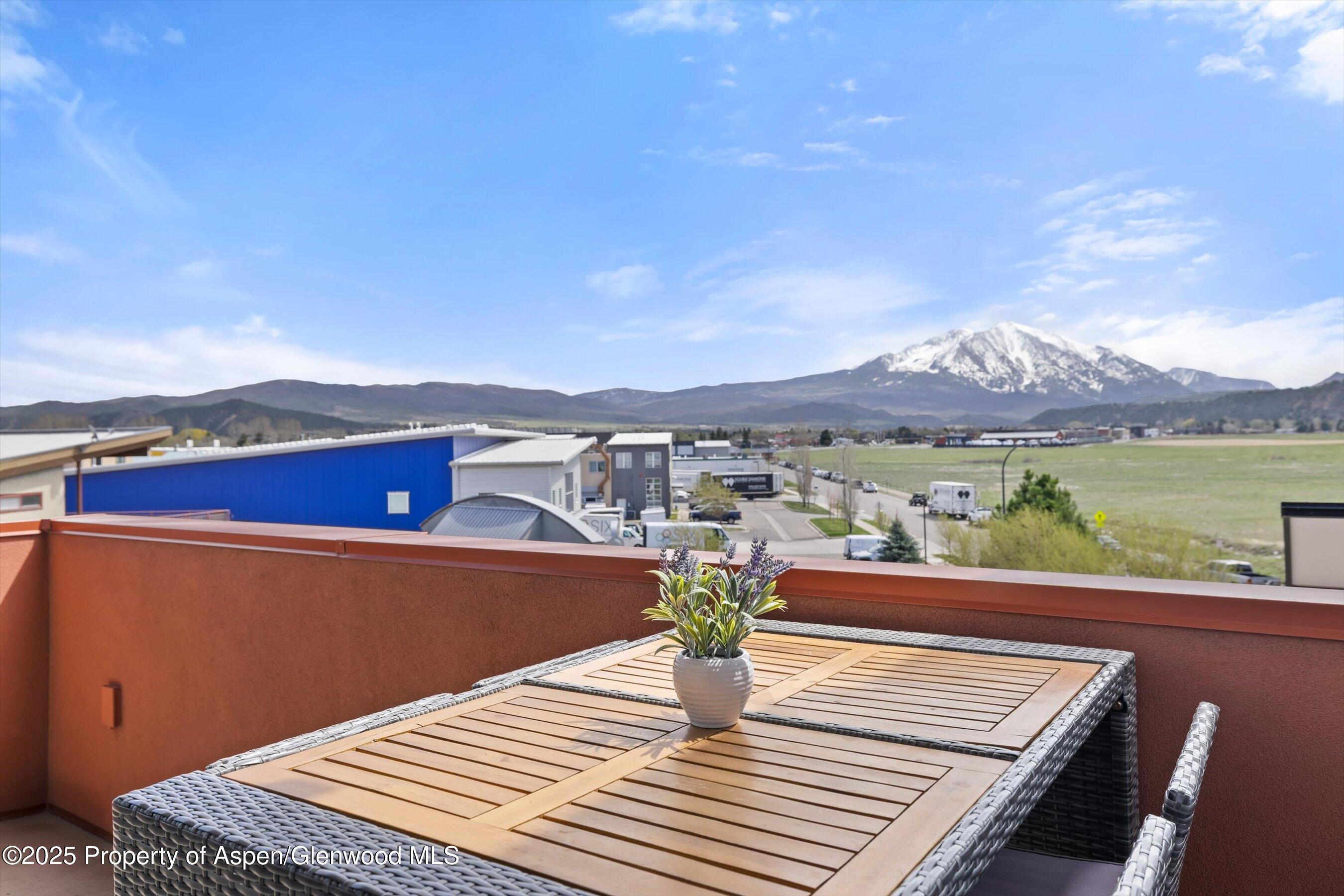 2633 Dolores Way Carbondale CO 81623