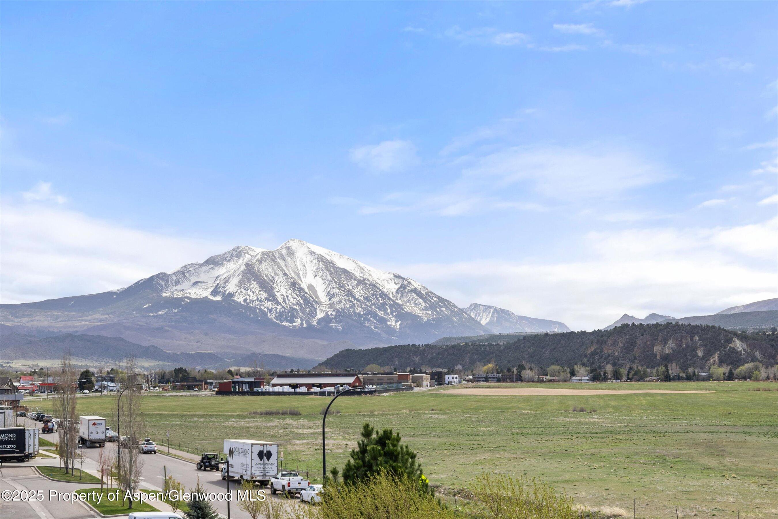 2633 Dolores Way Carbondale CO 81623