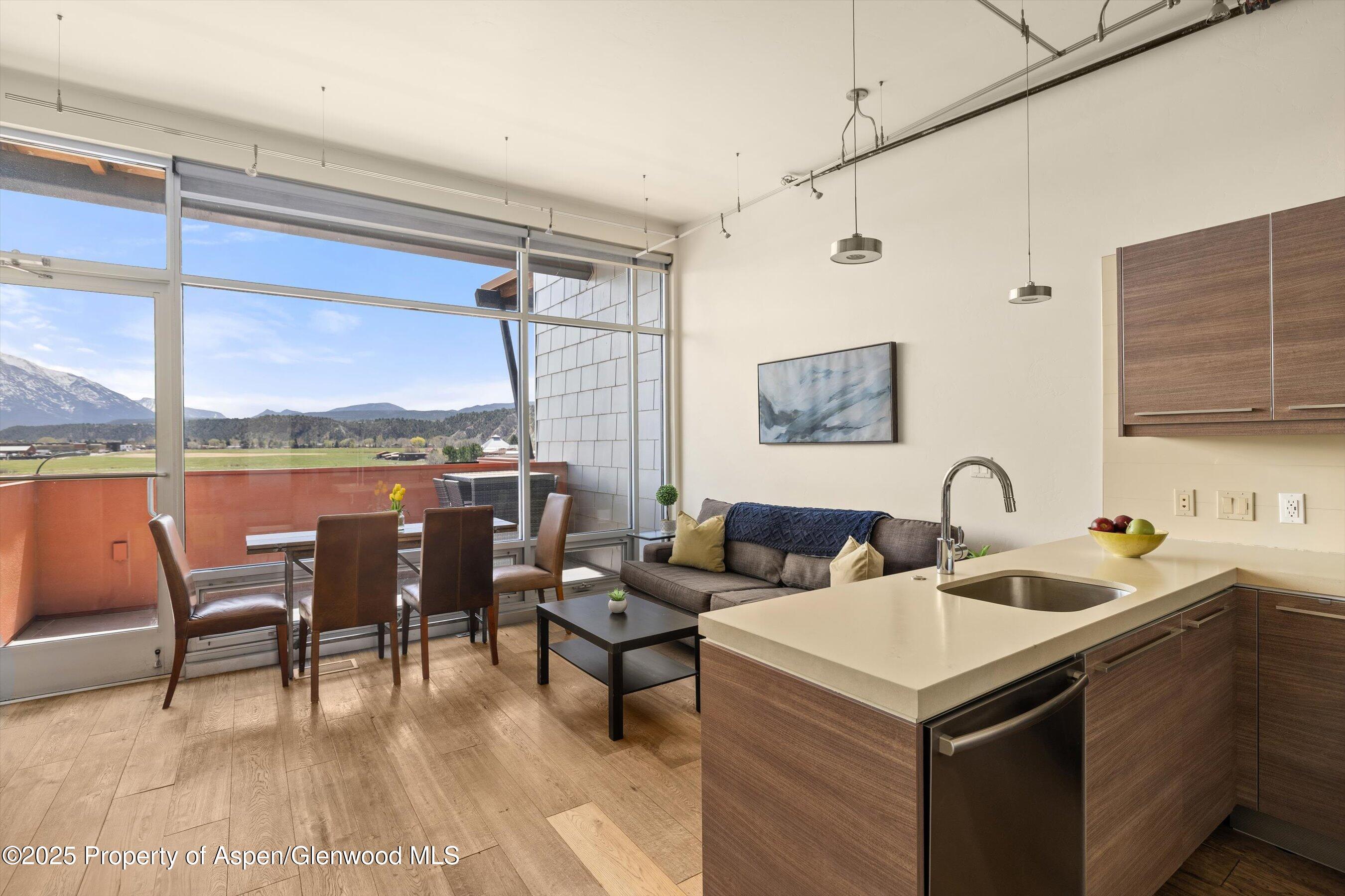 2633 Dolores Way Carbondale CO 81623