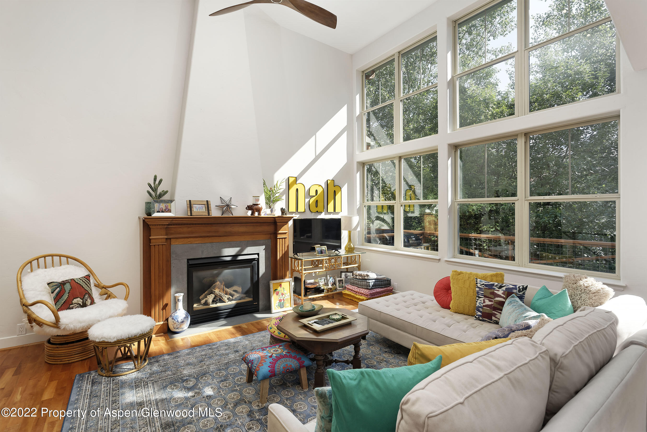 543 Evans Court Basalt CO 81621