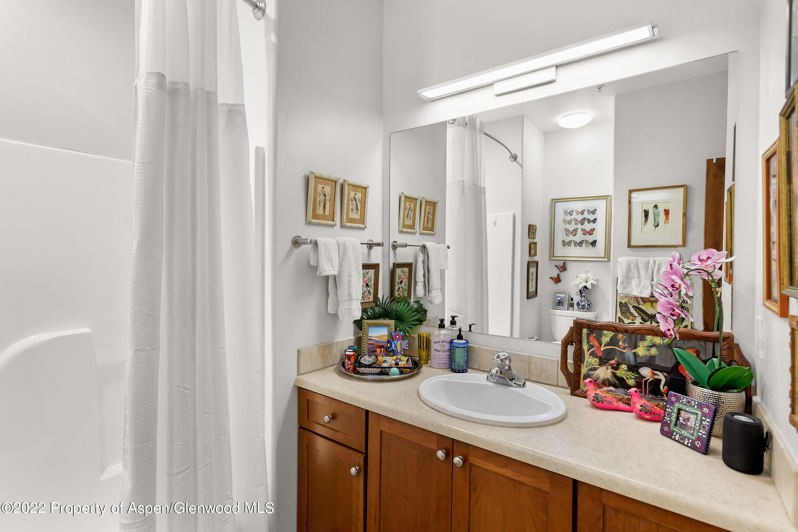 543 Evans Court Basalt CO 81621