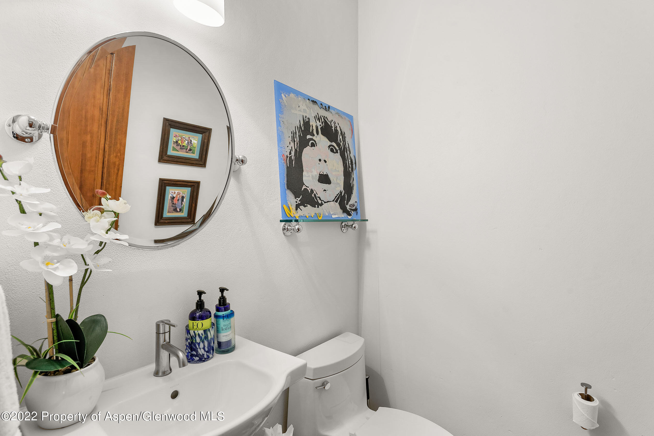 543 Evans Court Basalt CO 81621