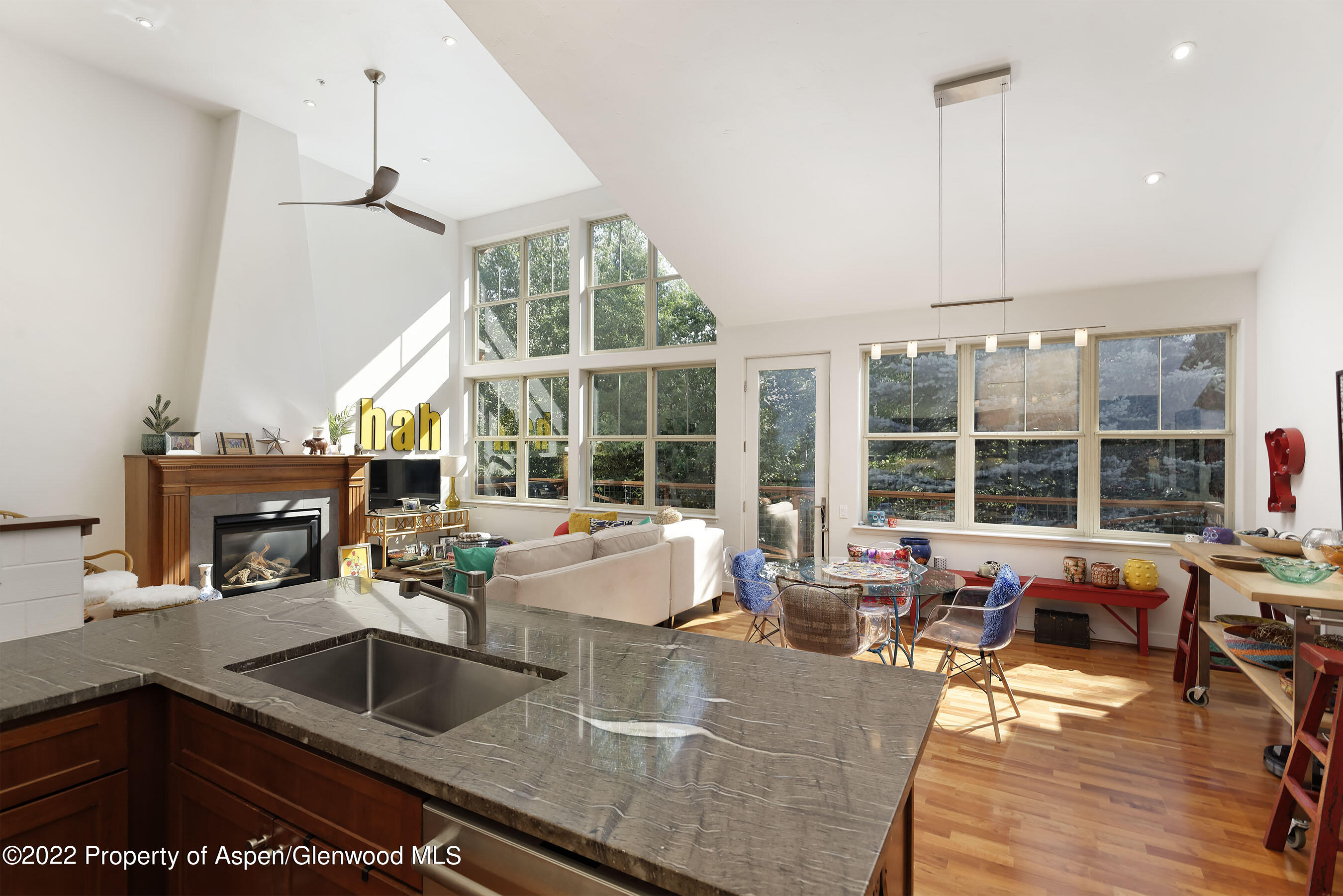 543 Evans Court Basalt CO 81621