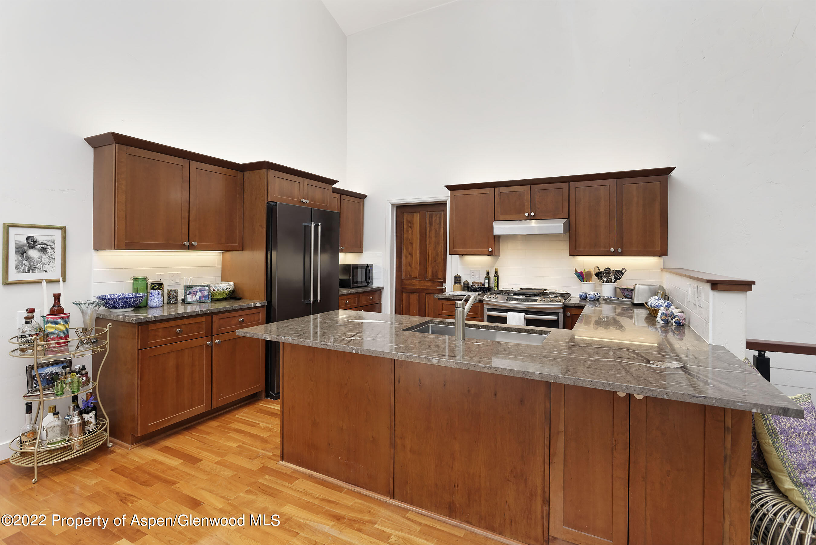 543 Evans Court Basalt CO 81621