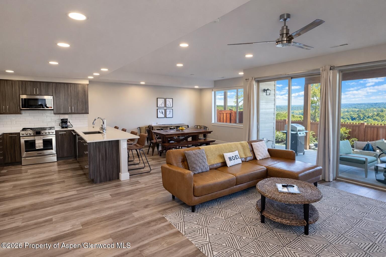 205 Lewies Circle Carbondale CO 81623