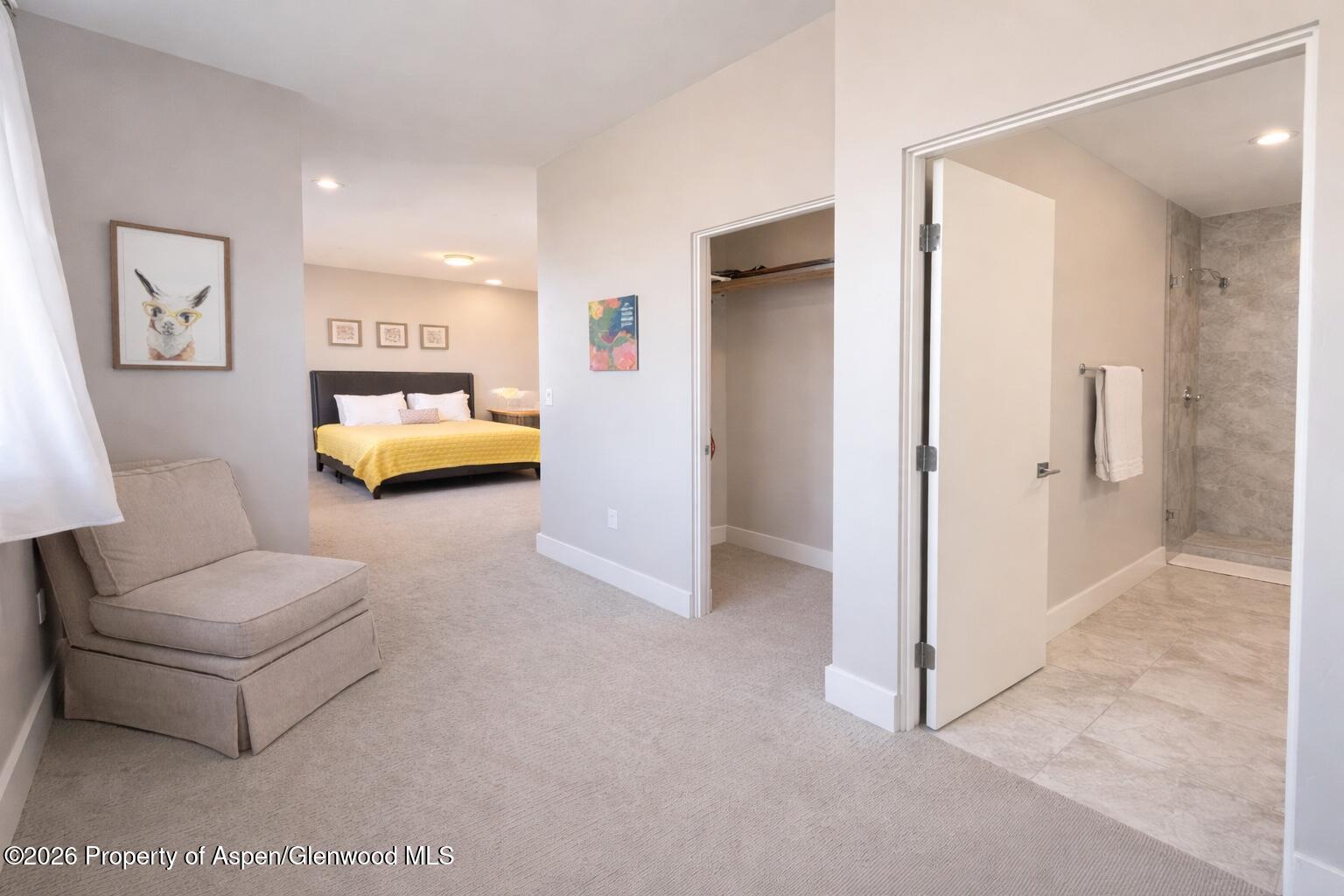 205 Lewies Circle Carbondale CO 81623