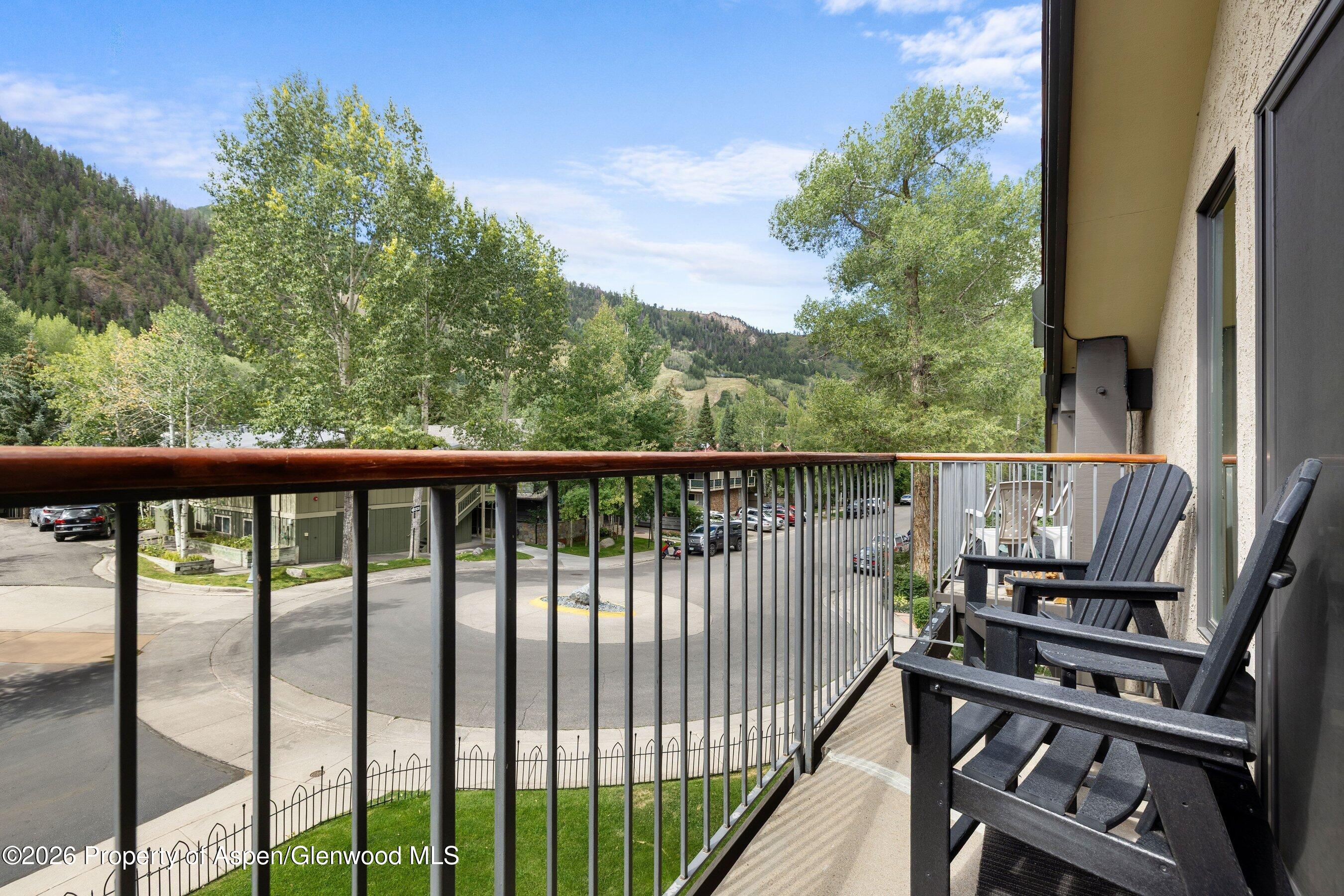 1020 E Durant Avenue Aspen CO 81611