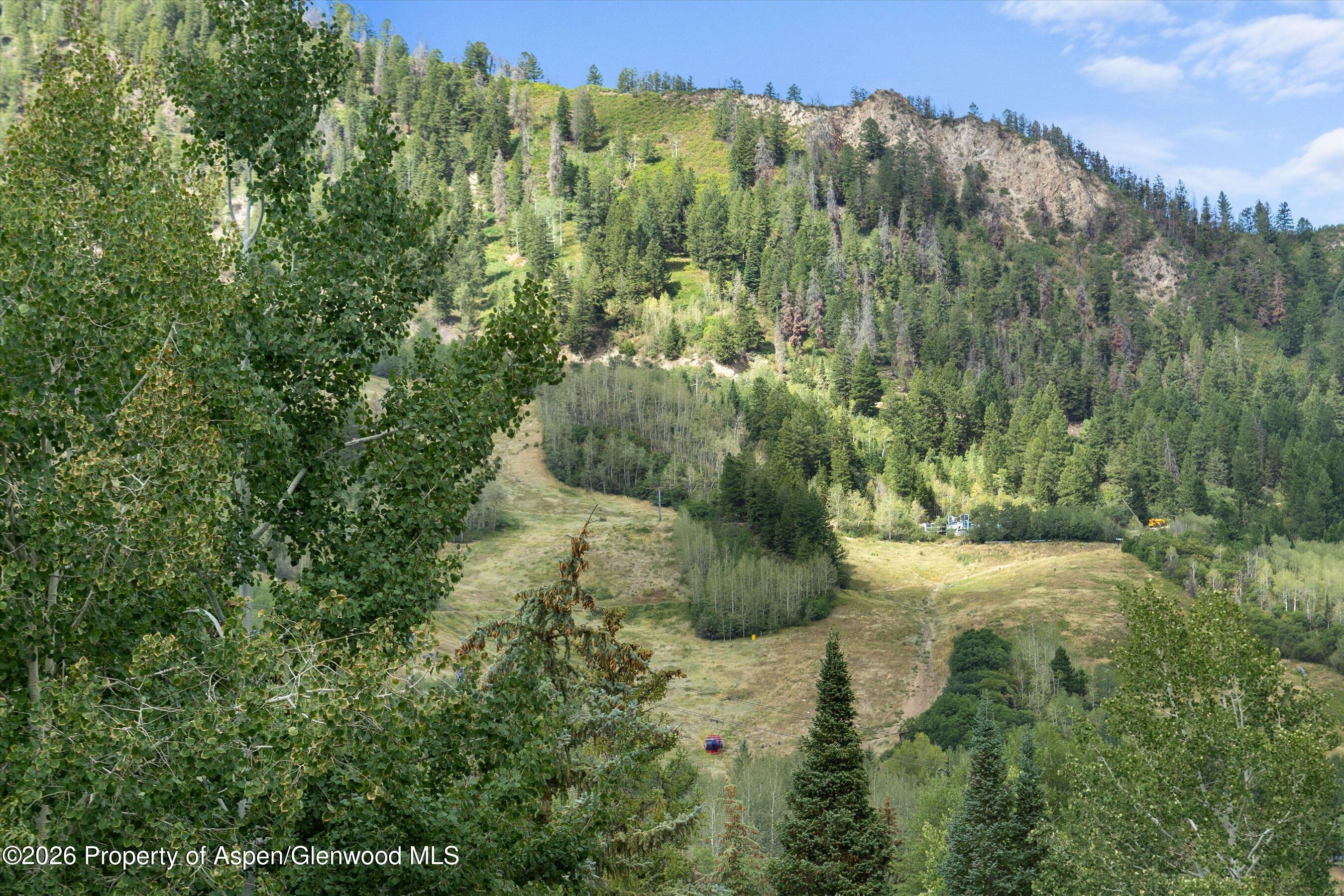 1020 E Durant Avenue Aspen CO 81611