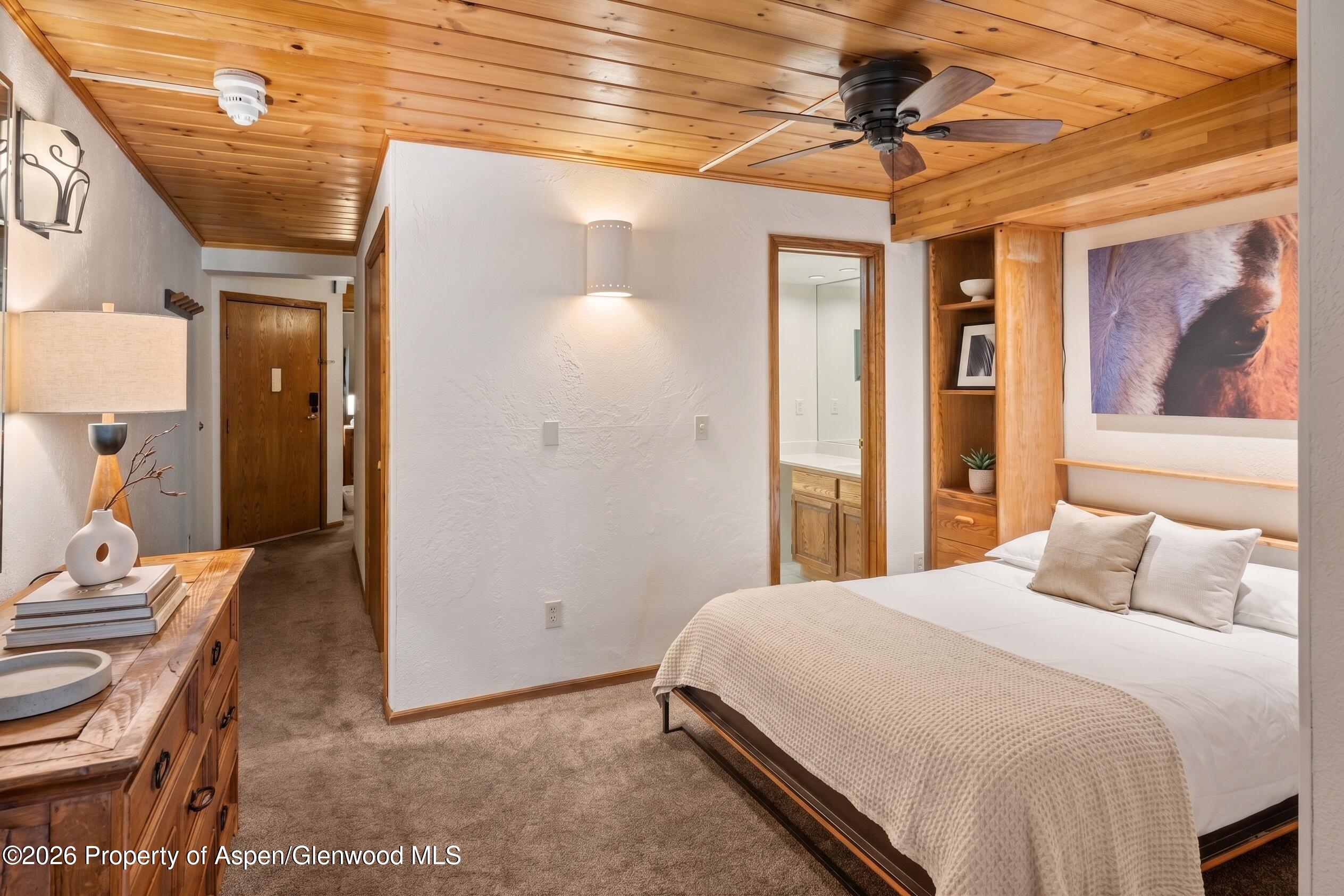 301 E Hyman Avenue Aspen CO 81611
