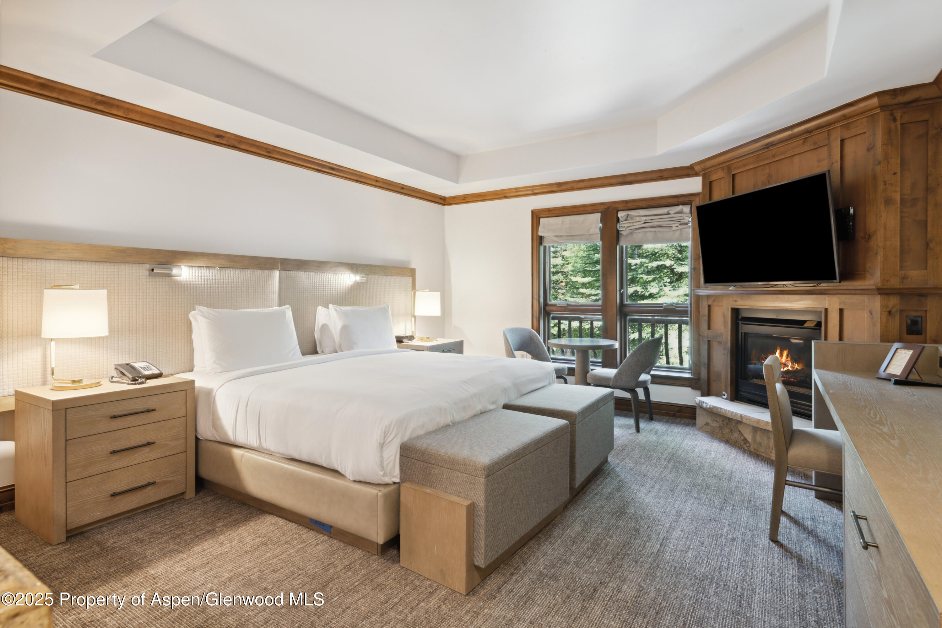 415 E Dean Street 23b Week 11 Street Aspen CO 81611