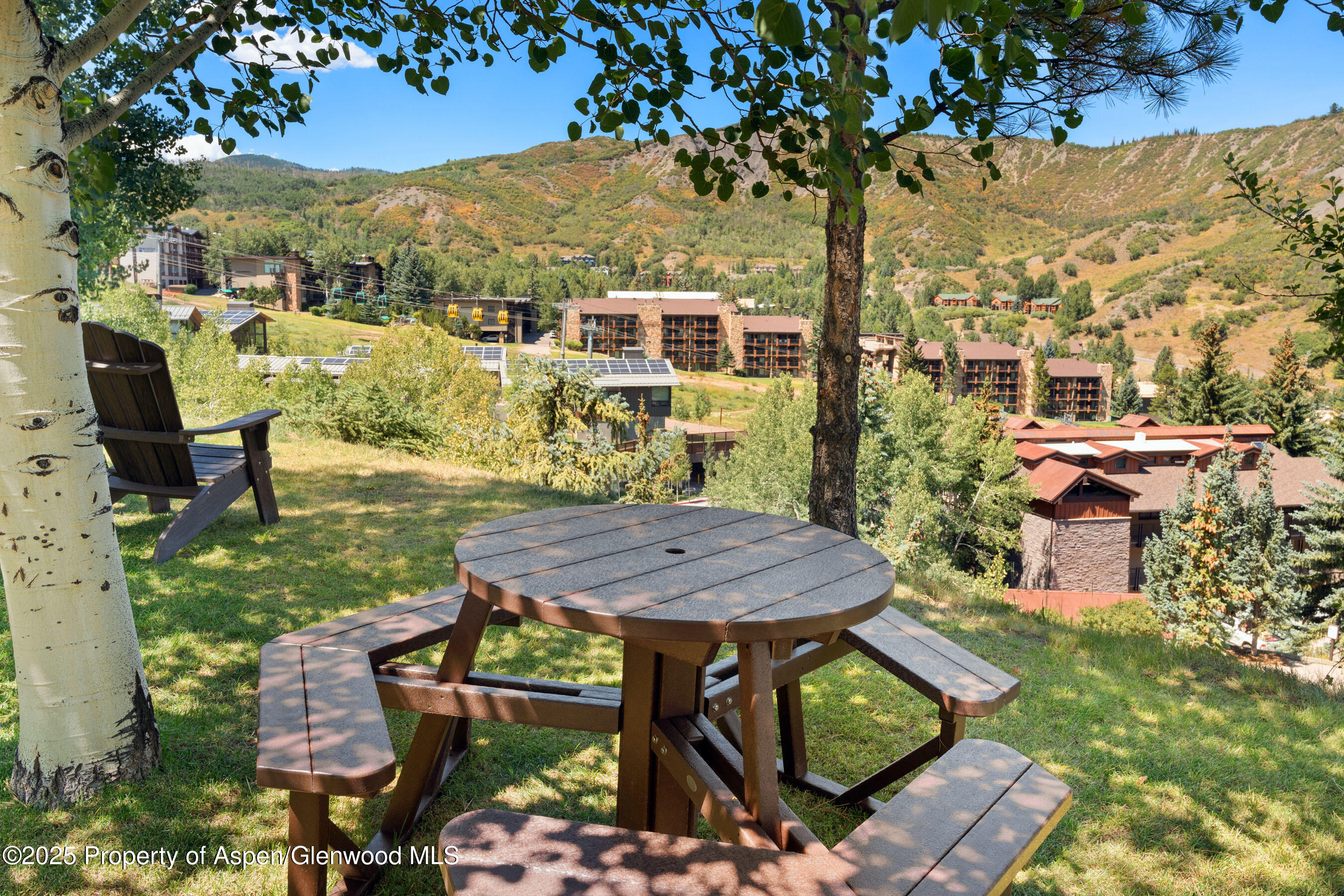 425 Wood Road Snowmass Village CO 81615