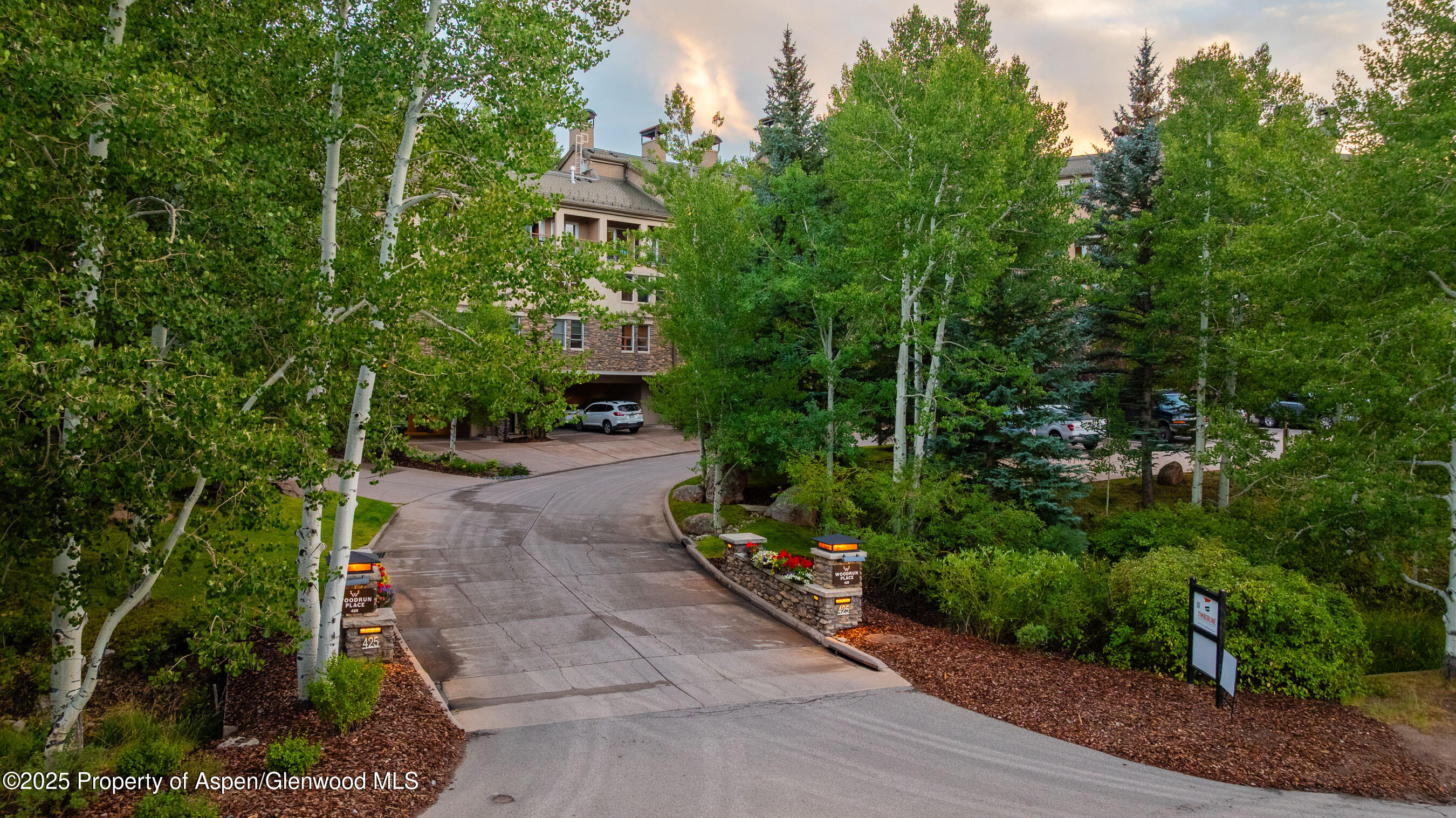 425 Wood Road Snowmass Village CO 81615