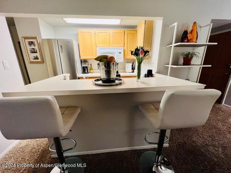 119 E Cooper Avenue Aspen CO 81611