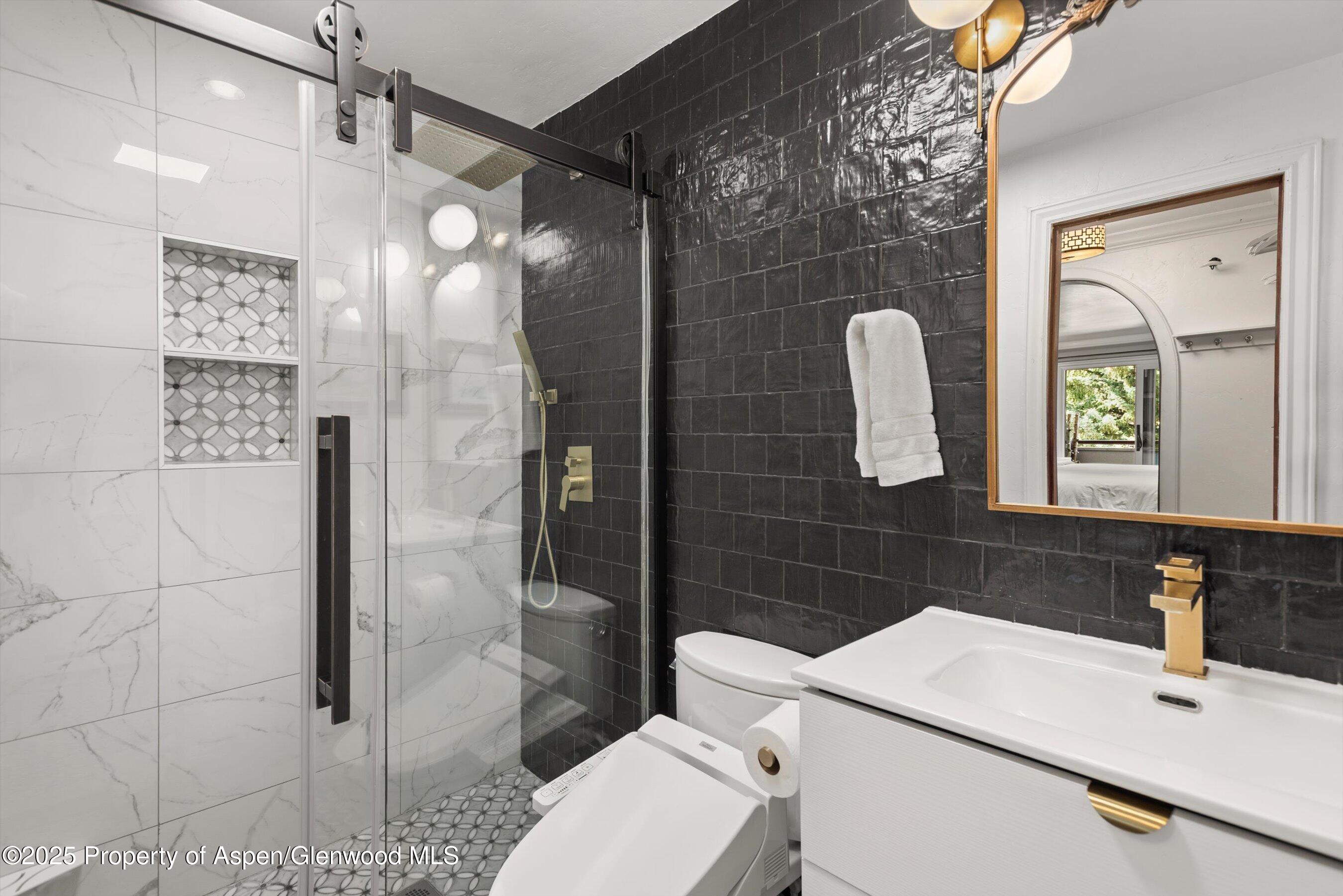 100 E Dean Street Aspen CO 81611