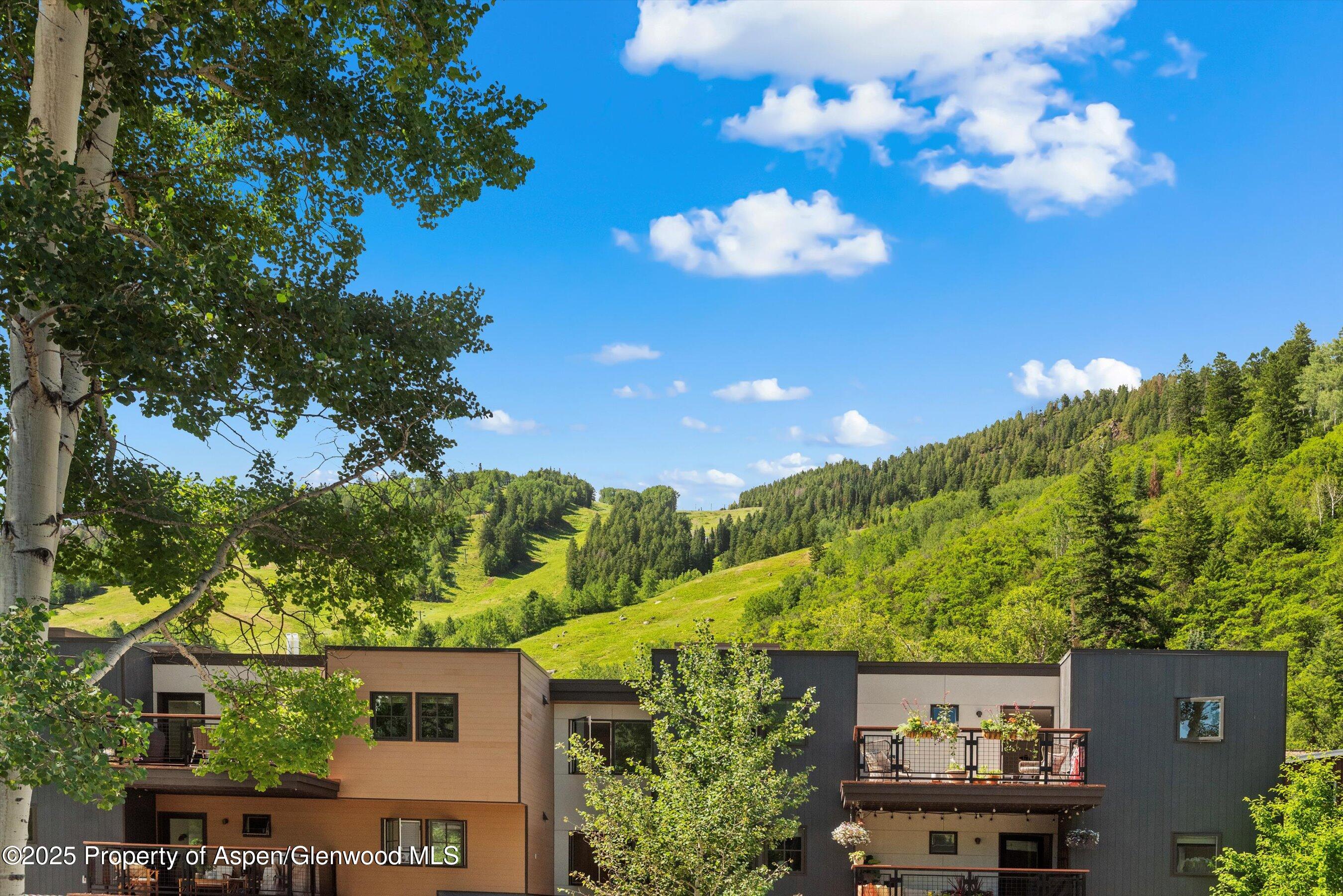100 E Dean Street Aspen CO 81611